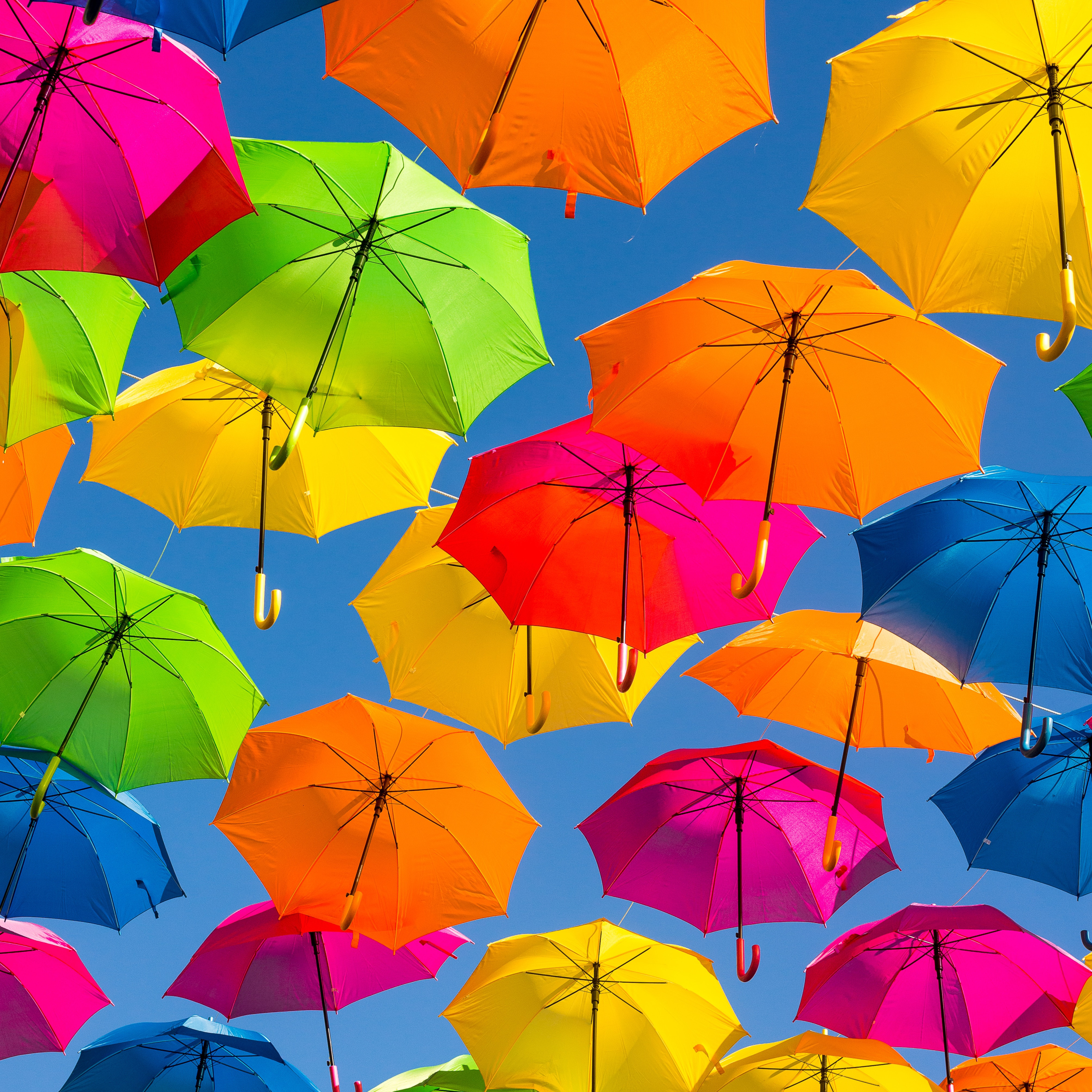 Episode 19: Are you singing in the rain or are your sales a damp squib? episode artwork