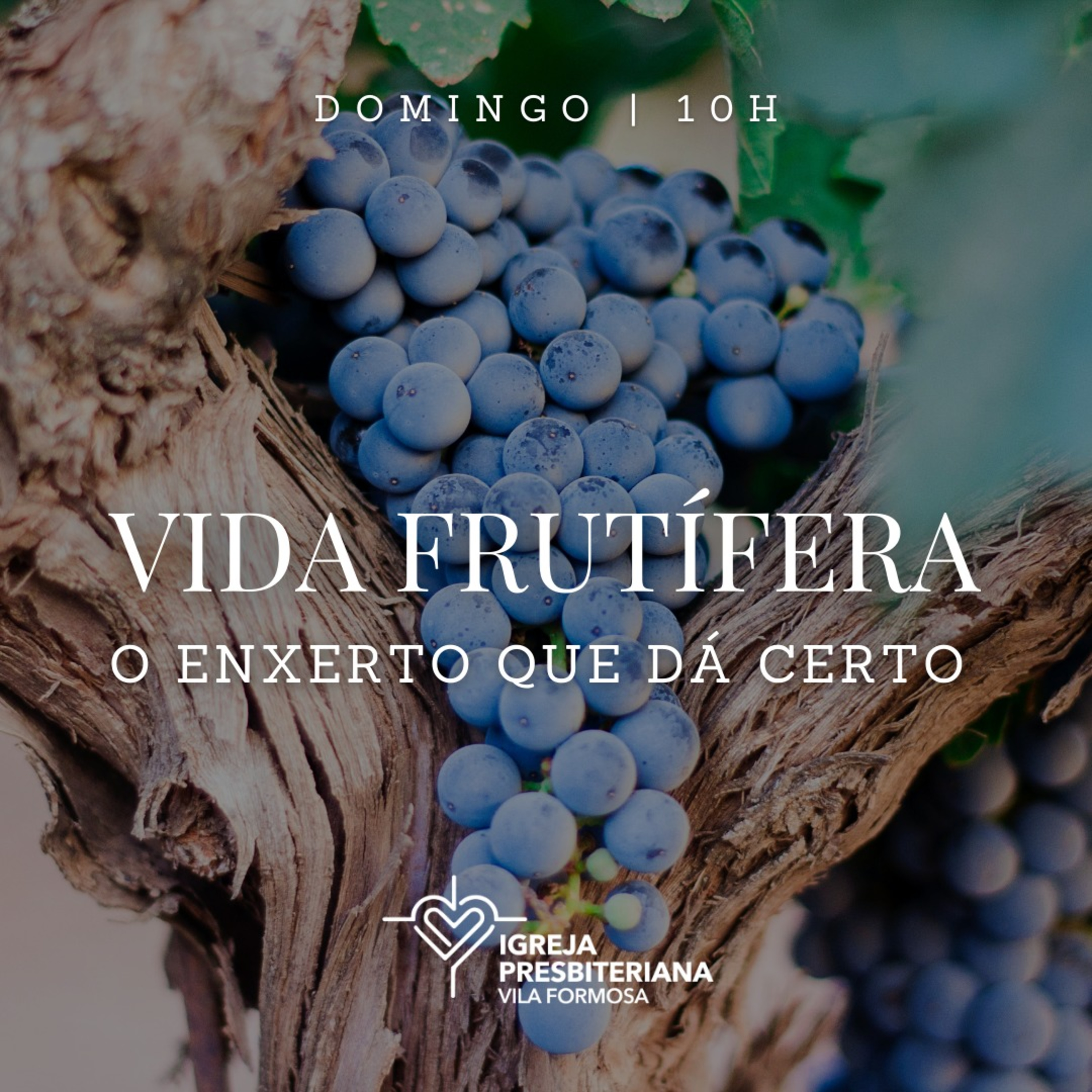 Igreja Presbiteriana Vila Formosa