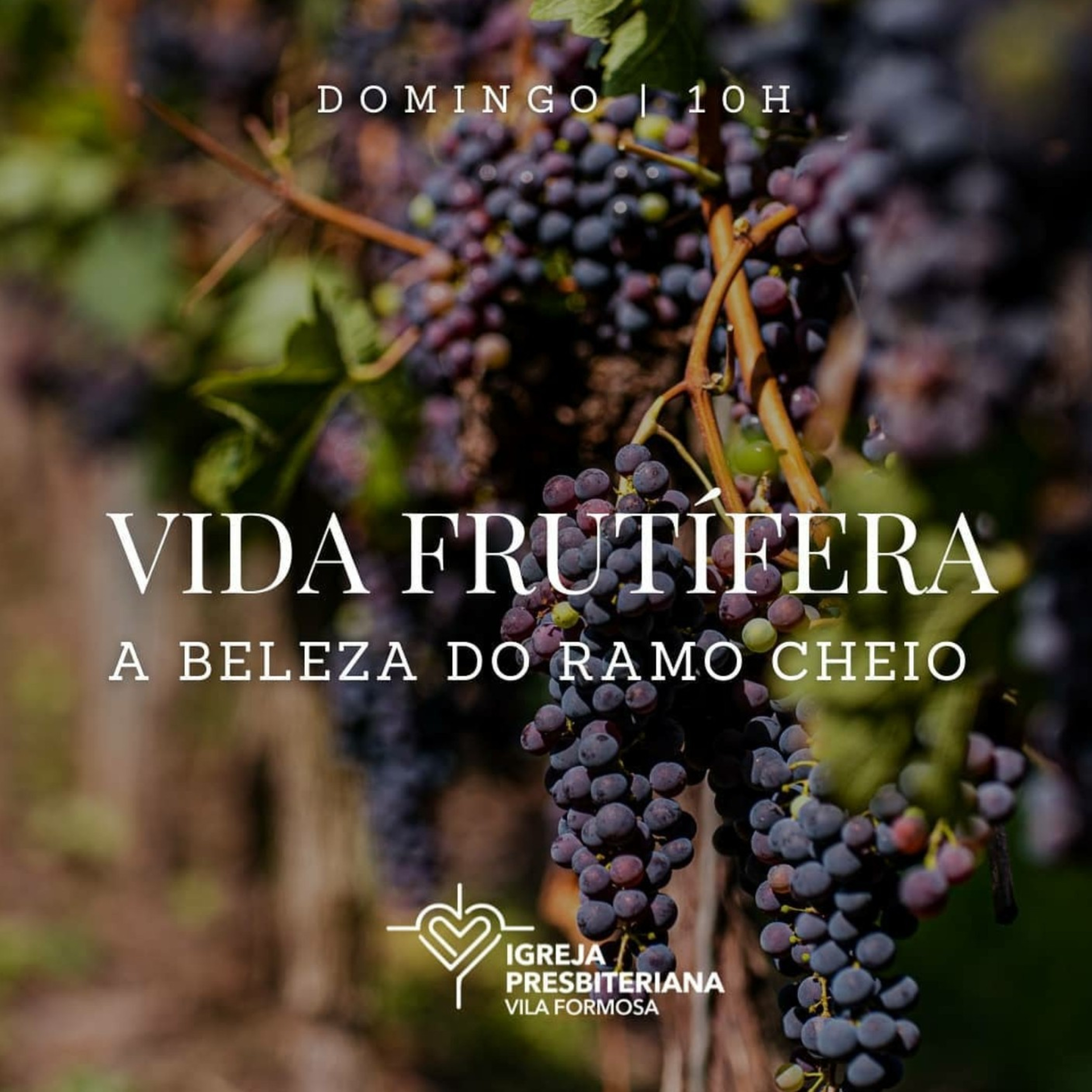 Igreja Presbiteriana Vila Formosa