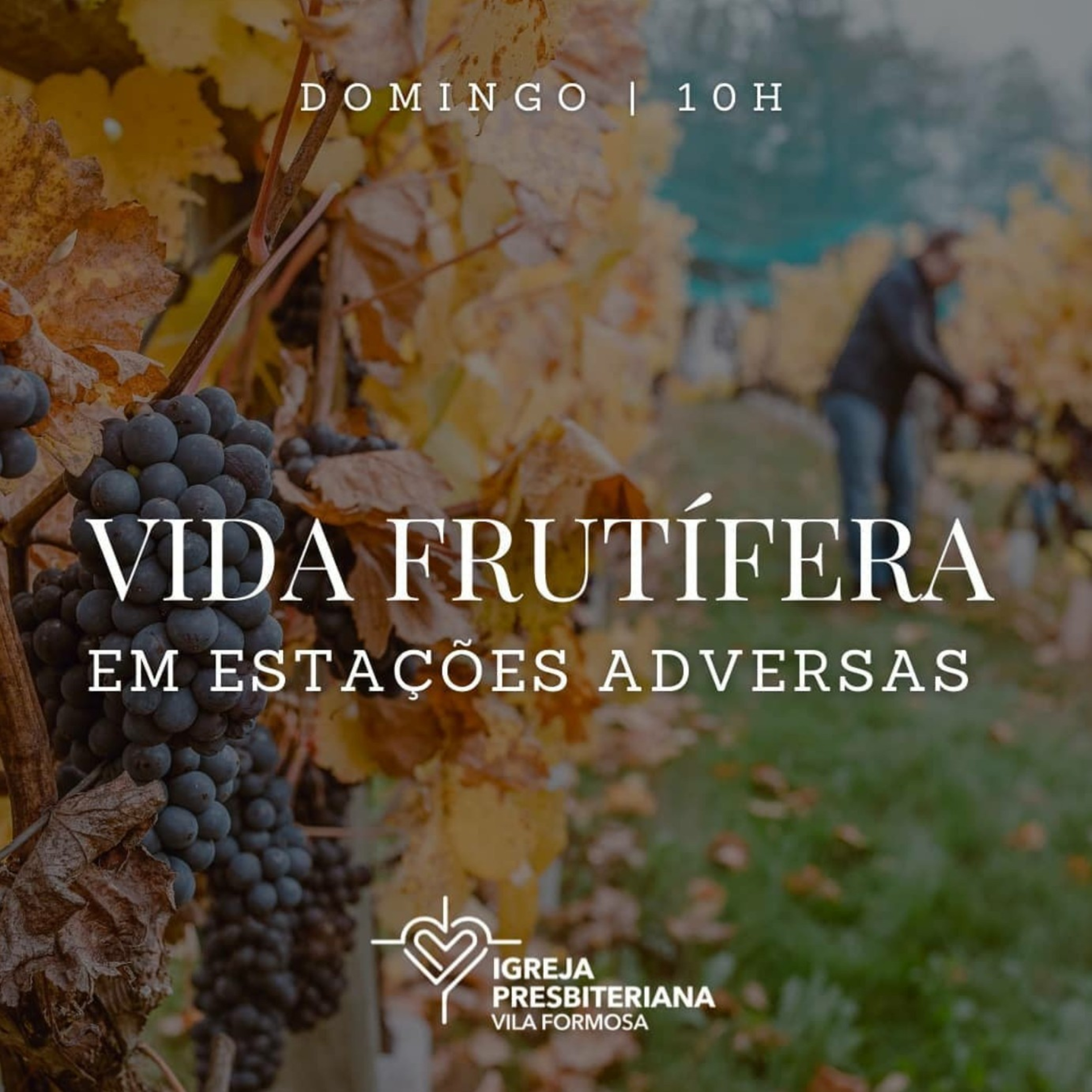 Igreja Presbiteriana Vila Formosa