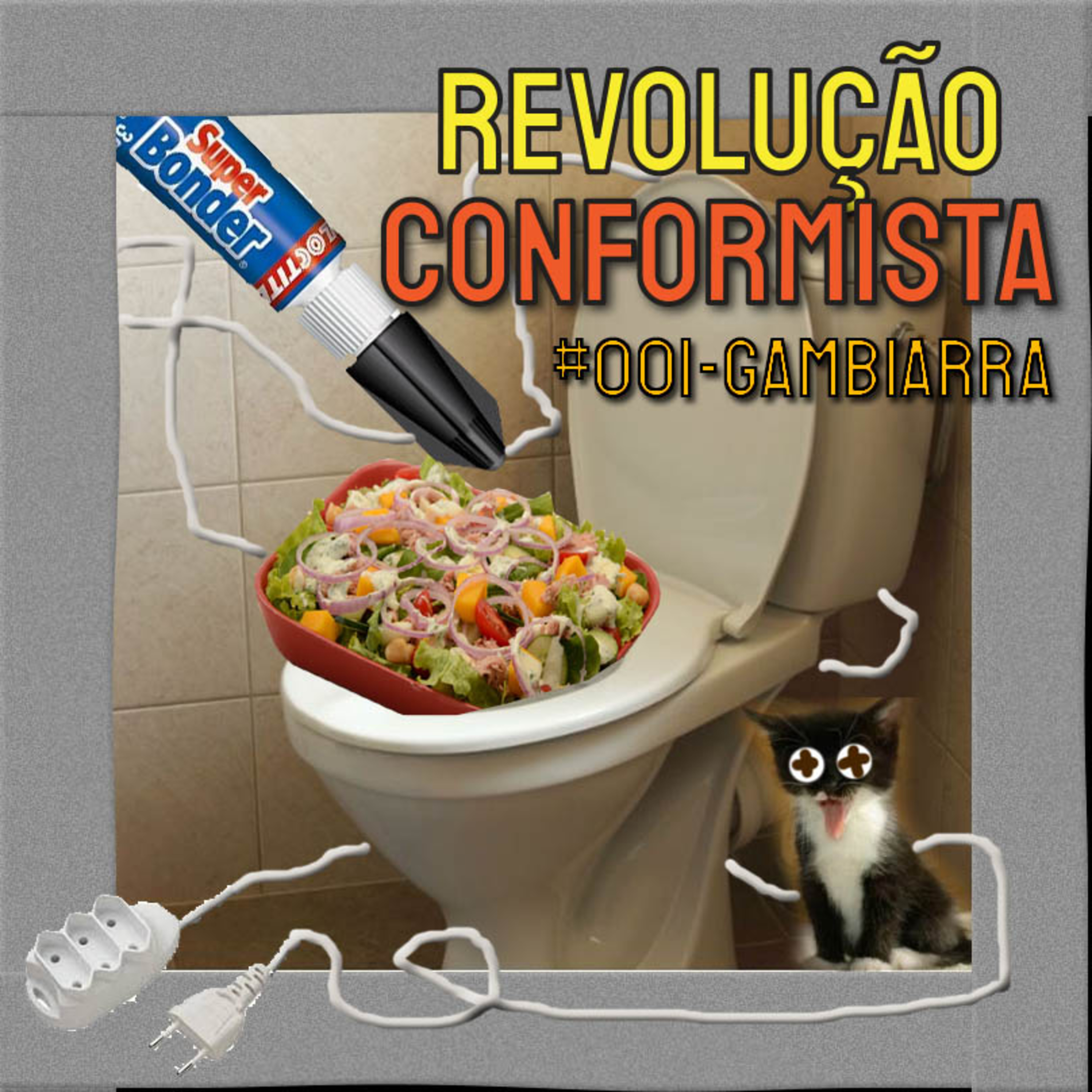 REVOLUÇÃO CONFORMISTA