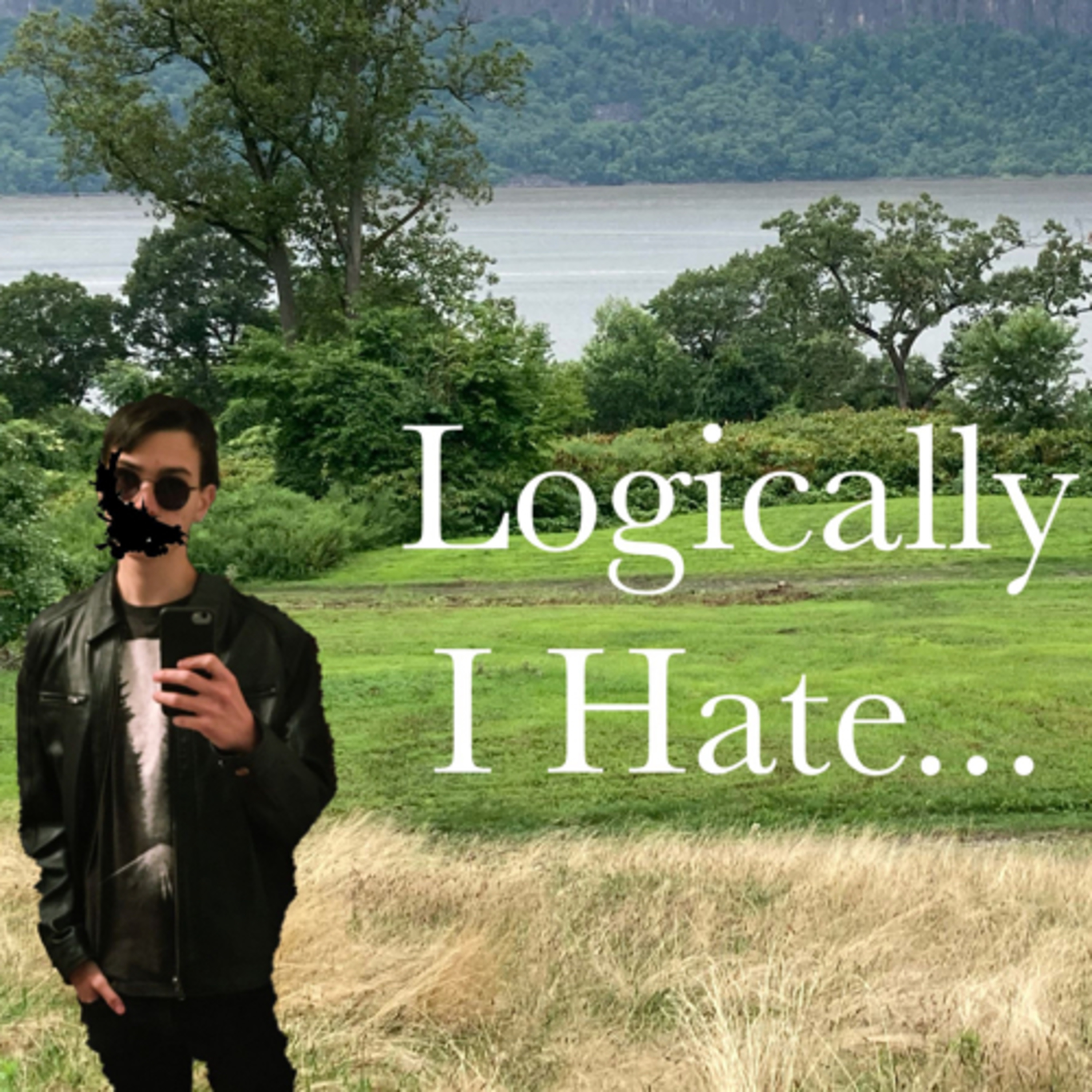 Logically I Hate...
