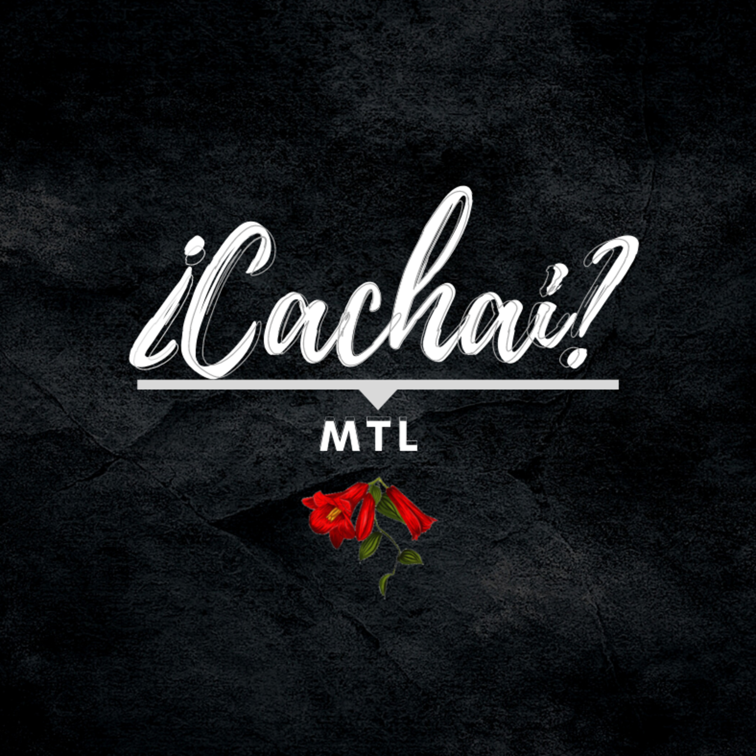 ¿Cachai?