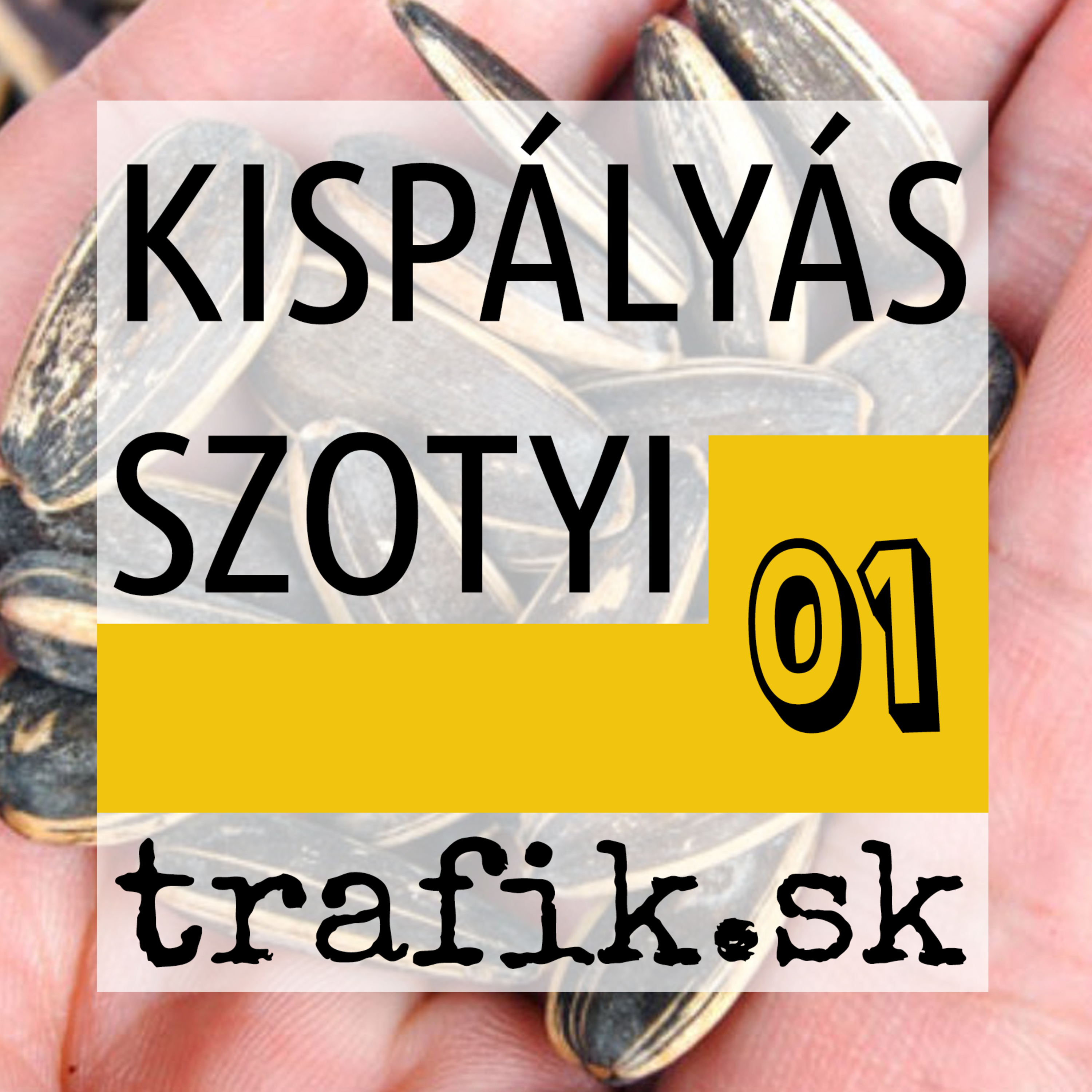 TrafiCast