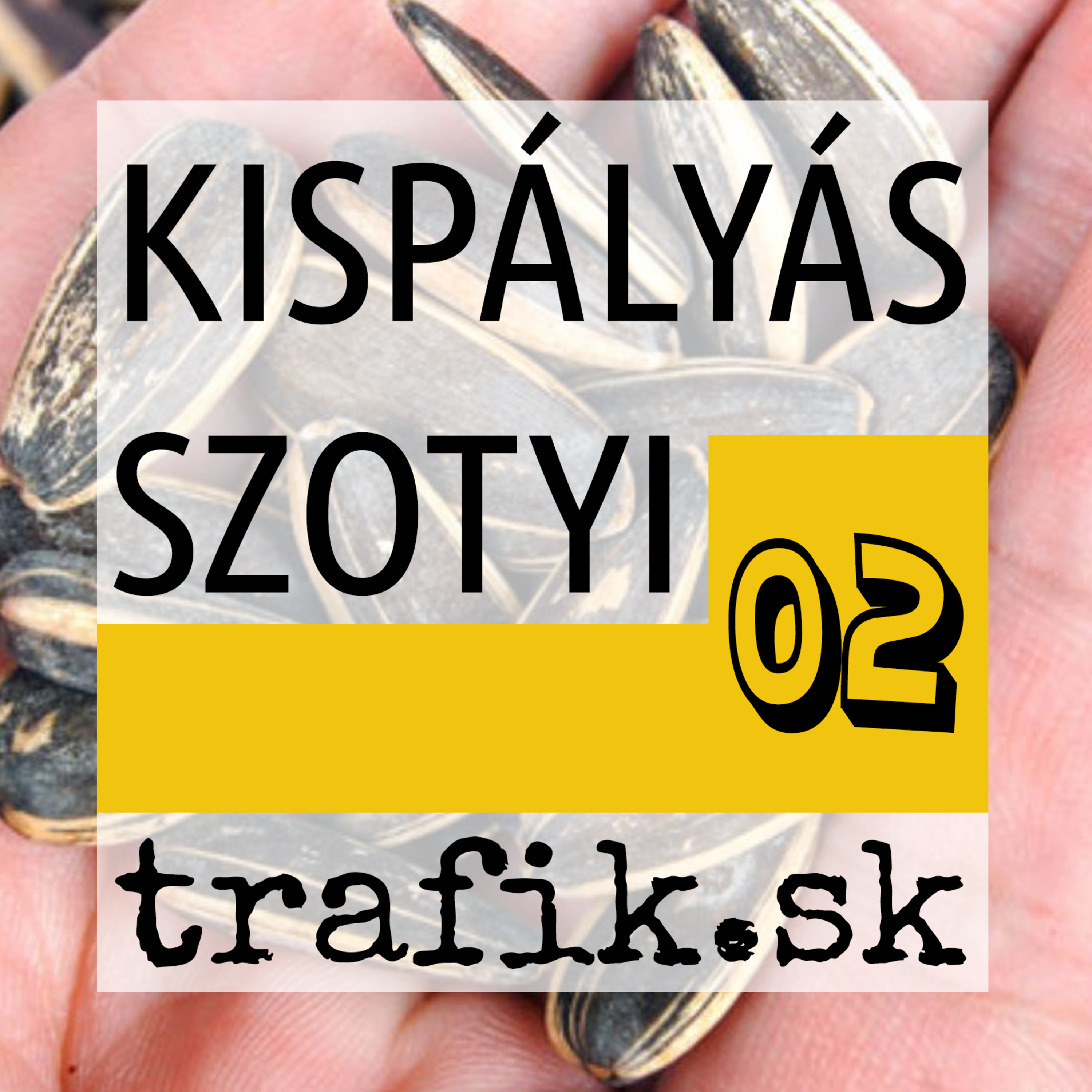 TrafiCast