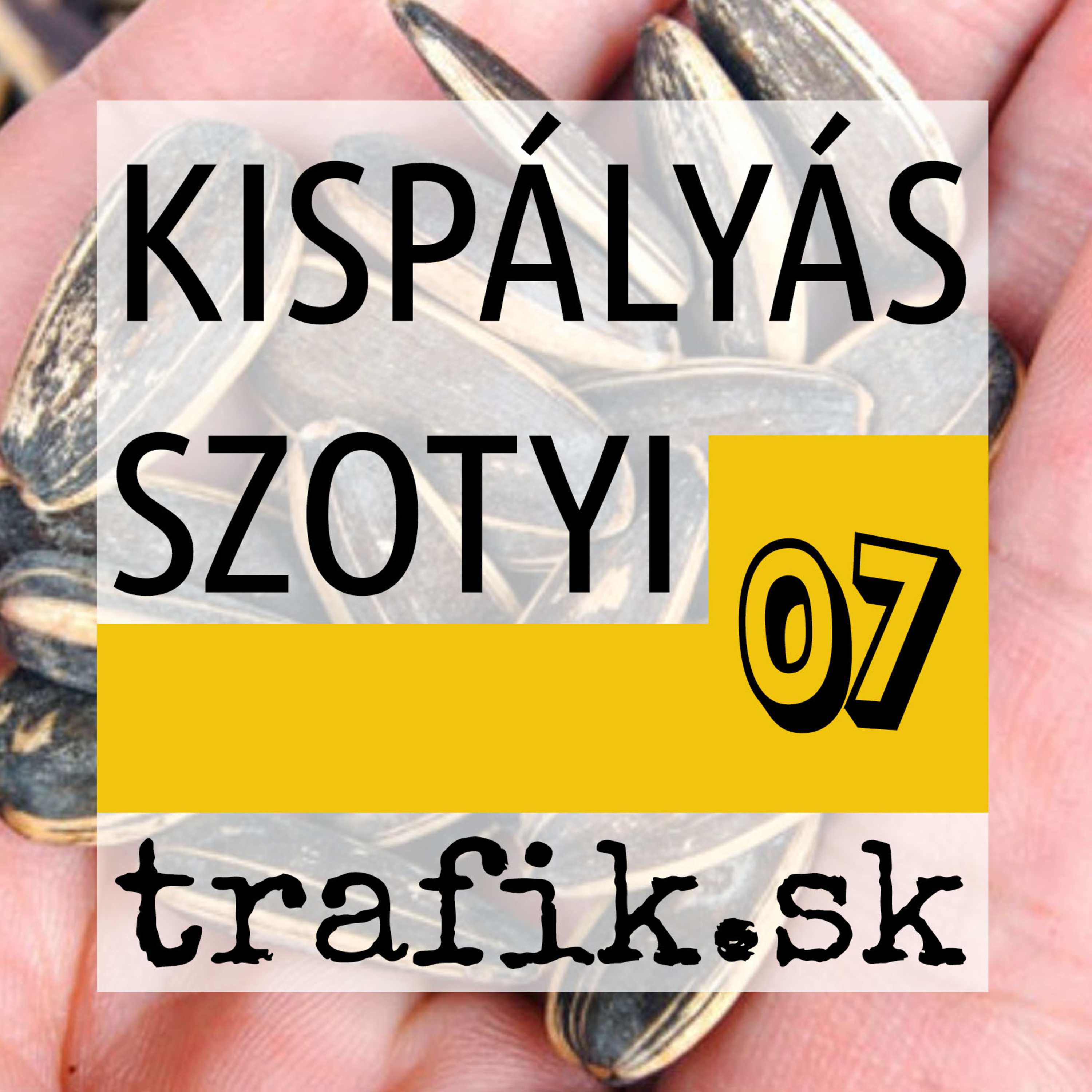 TrafiCast