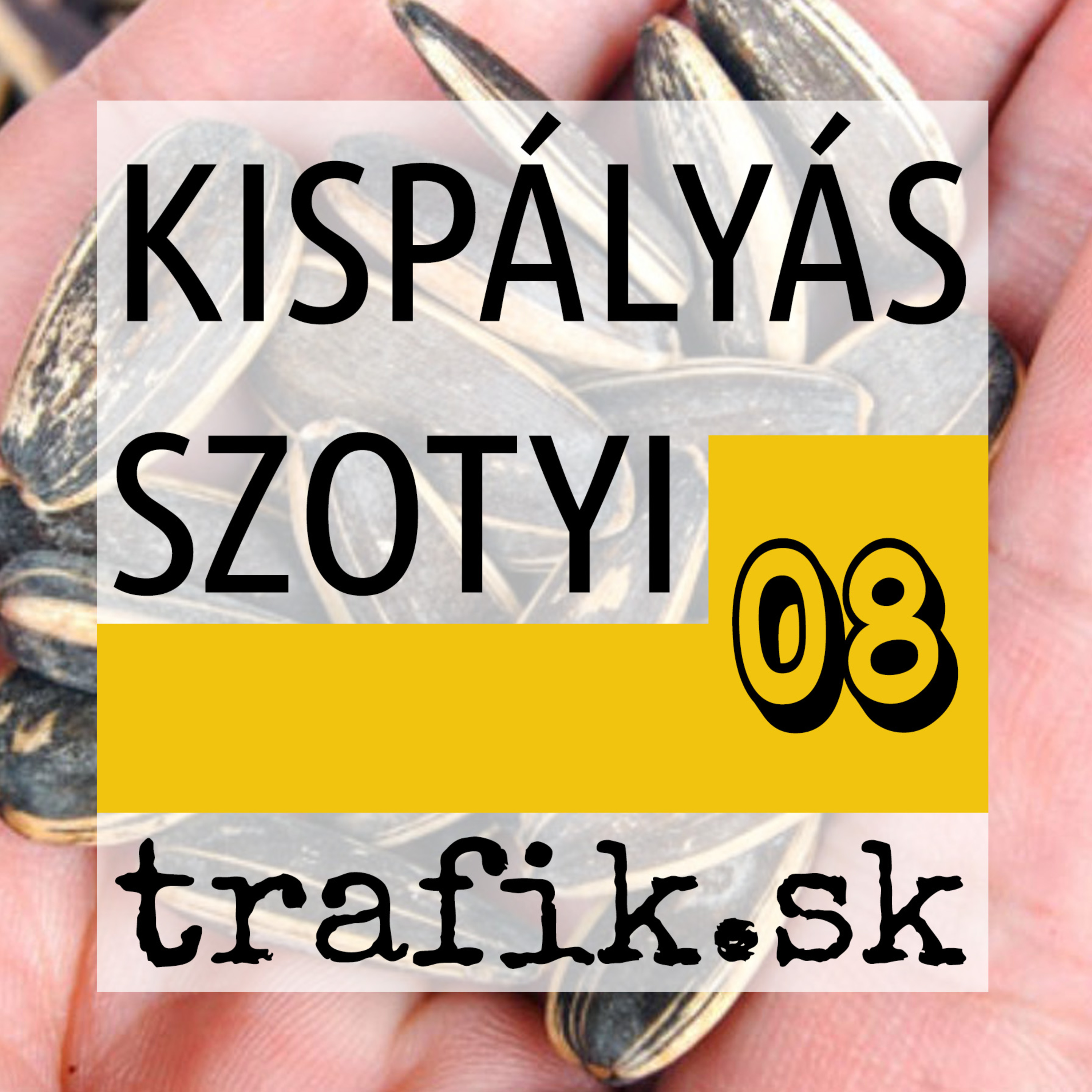 TrafiCast