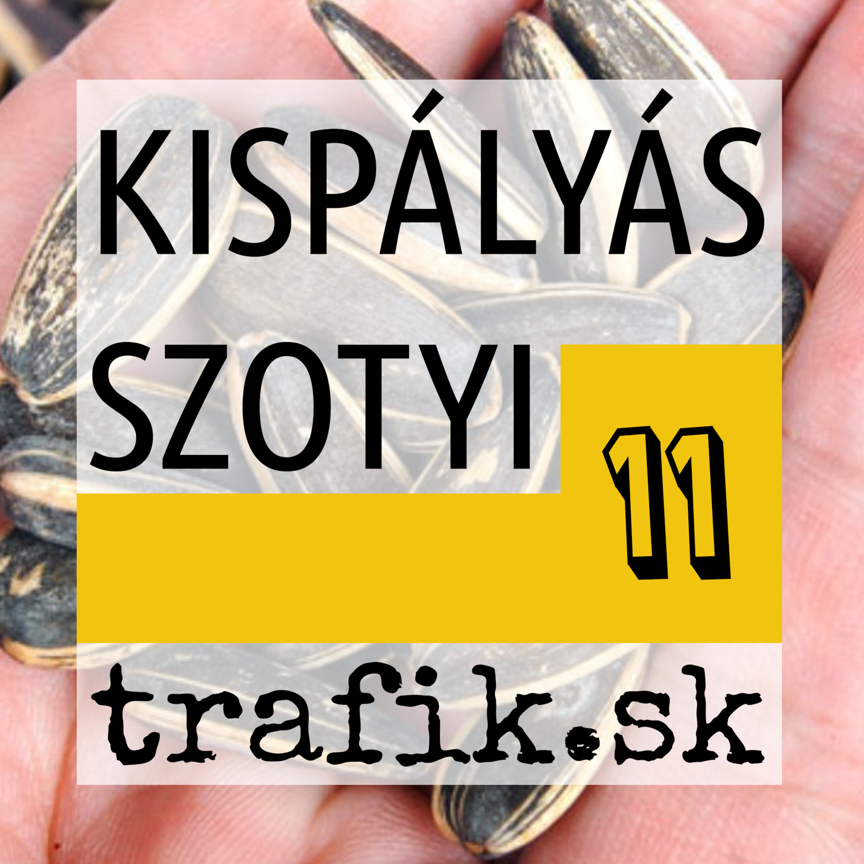 TrafiCast