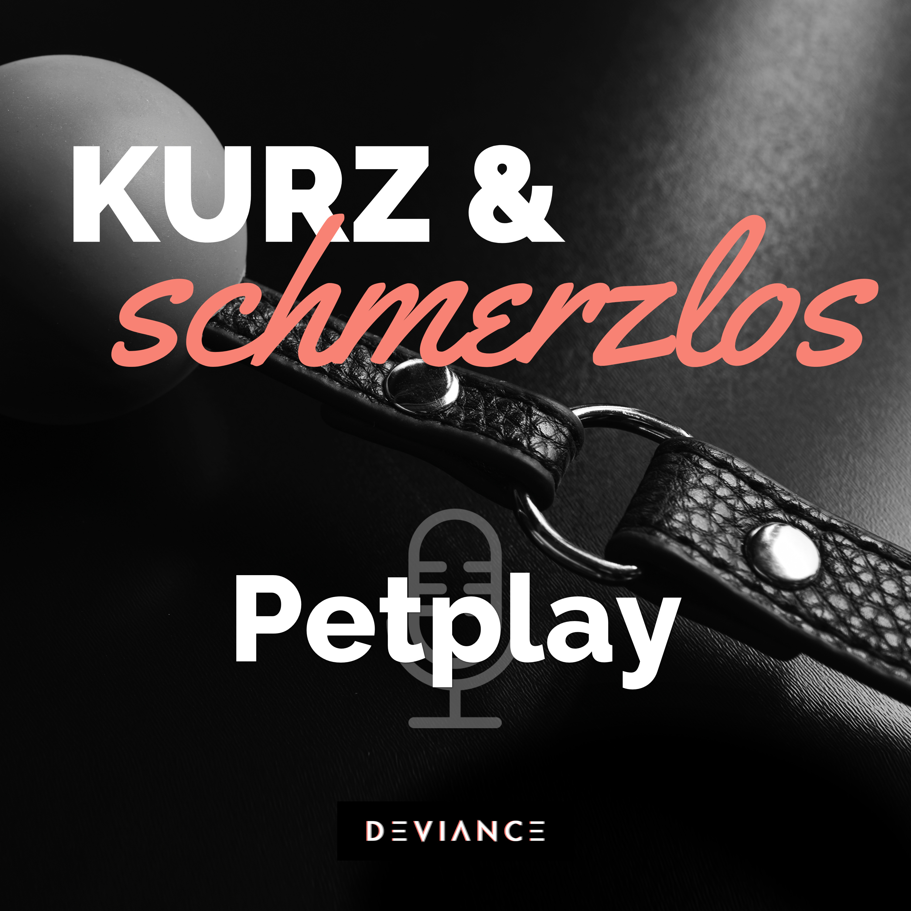 030 P wie... Petplay! Kinks und BDSM-Spielarten kurz erklärt. episode artwork