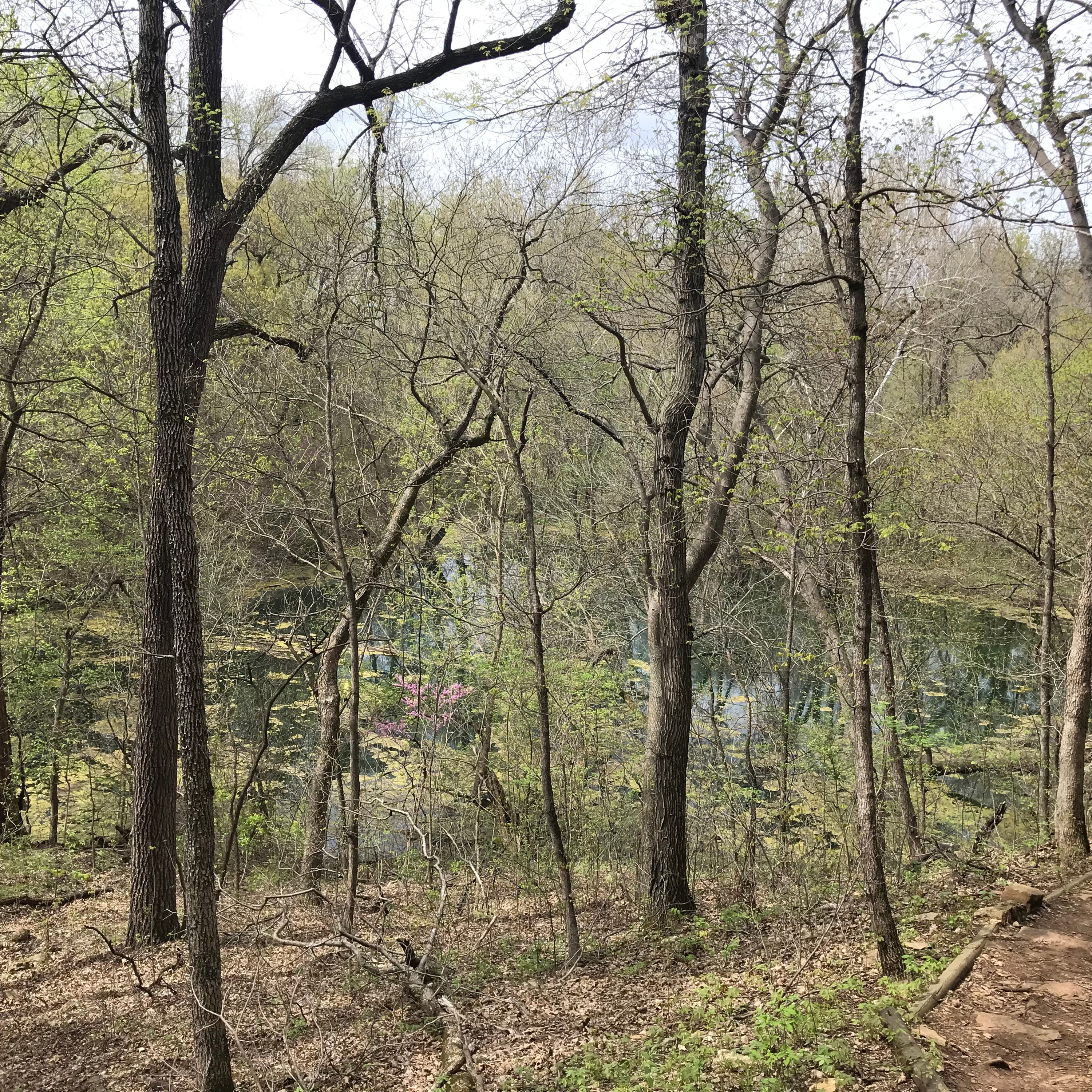 Finding Home Podcast