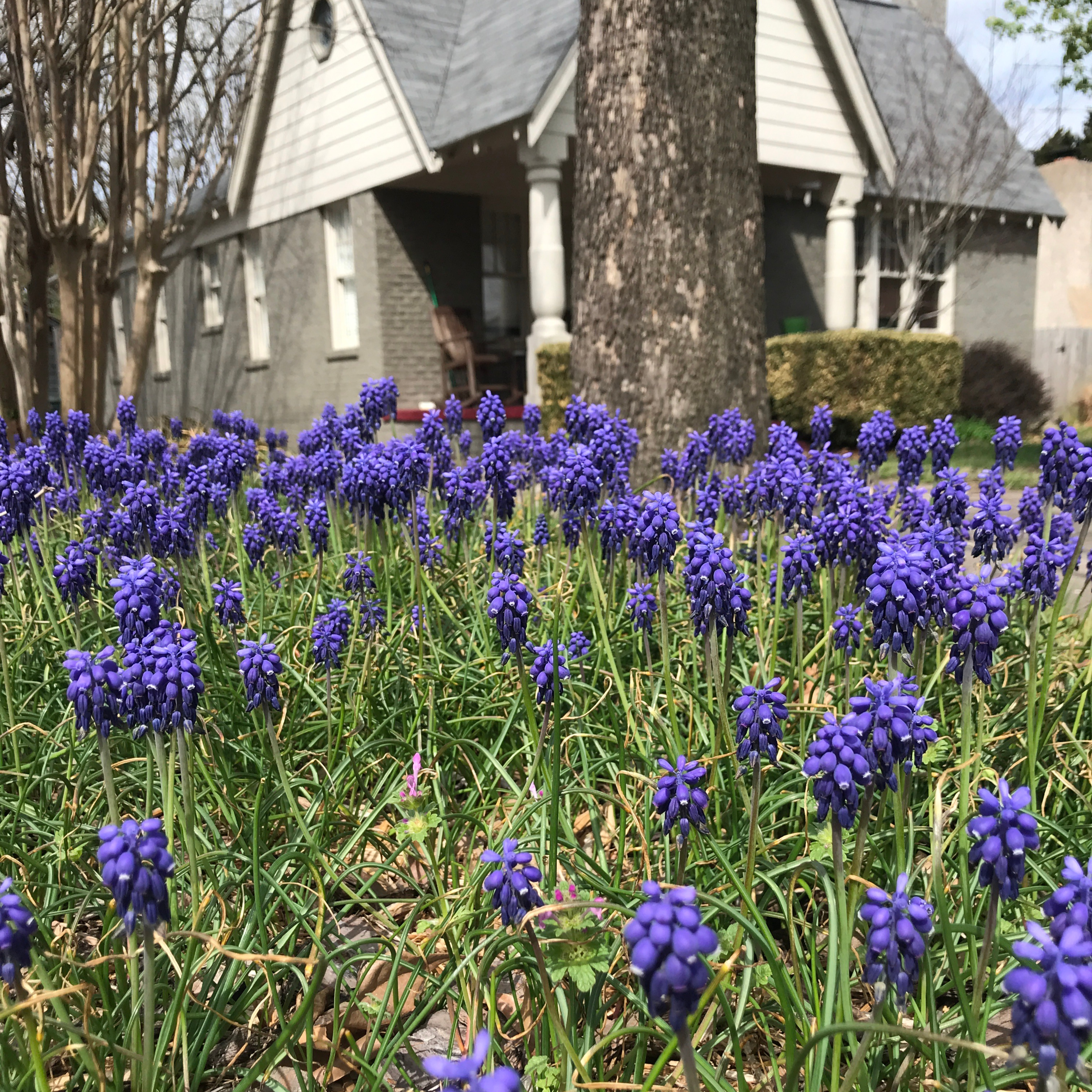 Finding Home Podcast
