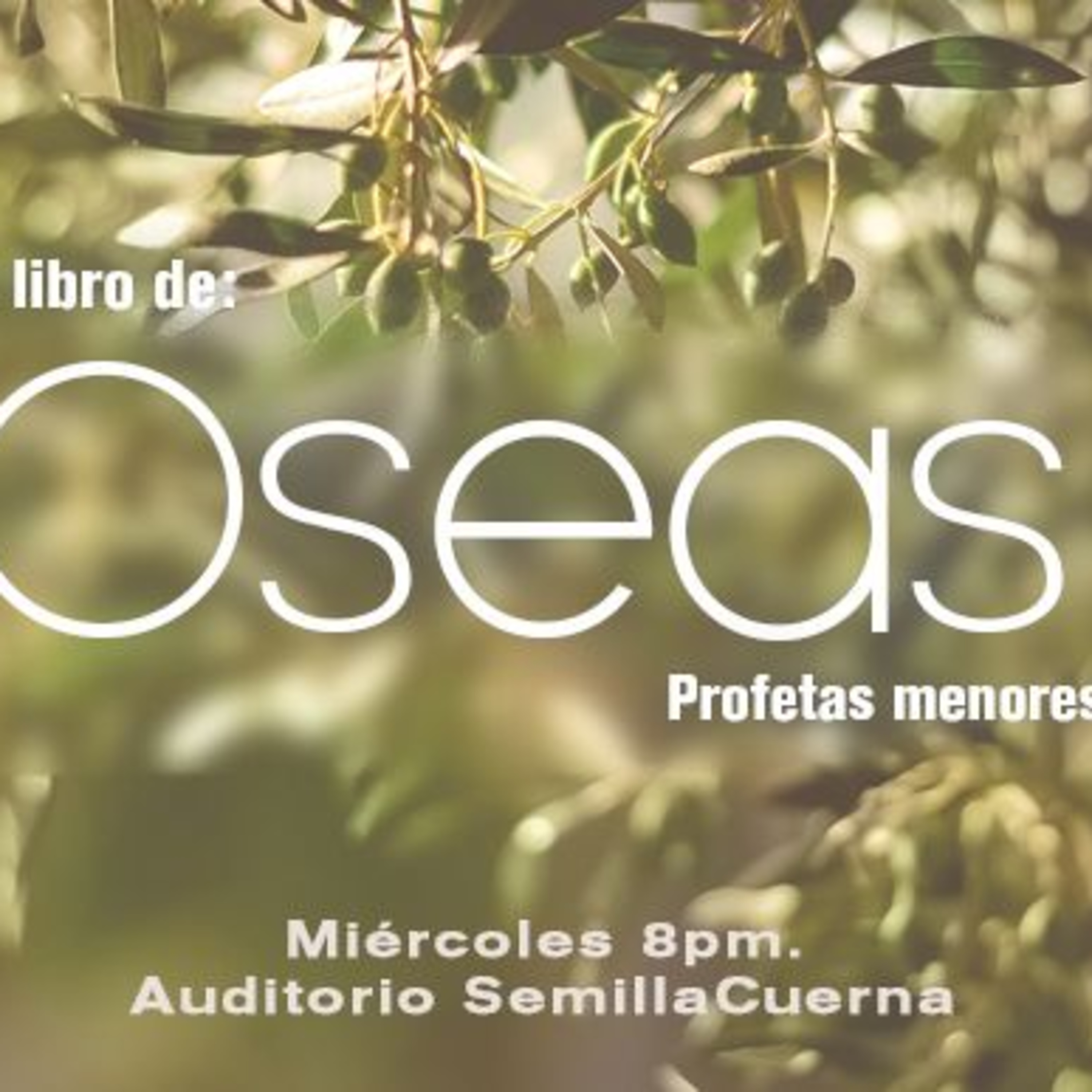 02 Oseas 2-6 | Capítulo 2 al 6 episode artwork