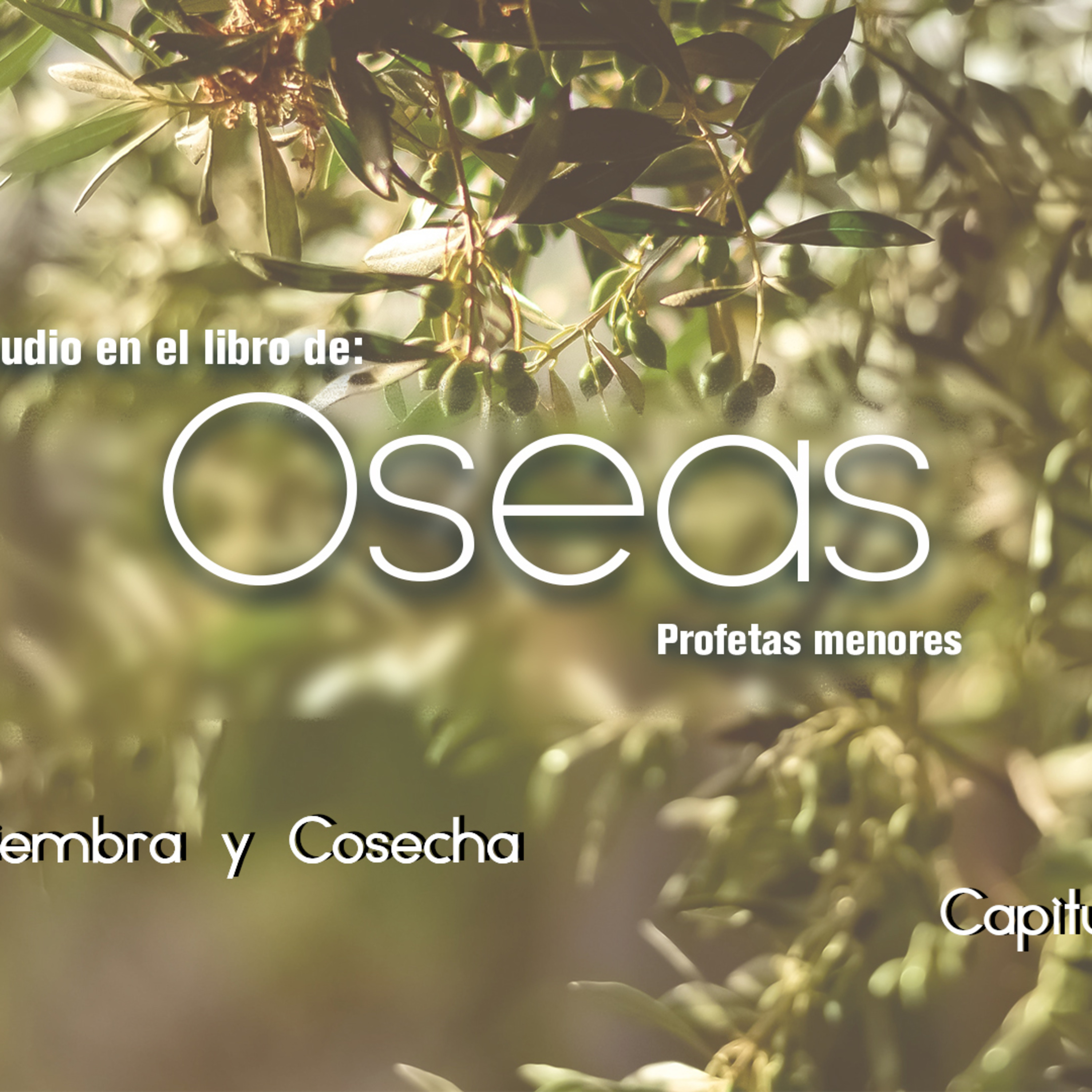 03 Oseas2019 | Siembra y cosecha episode artwork