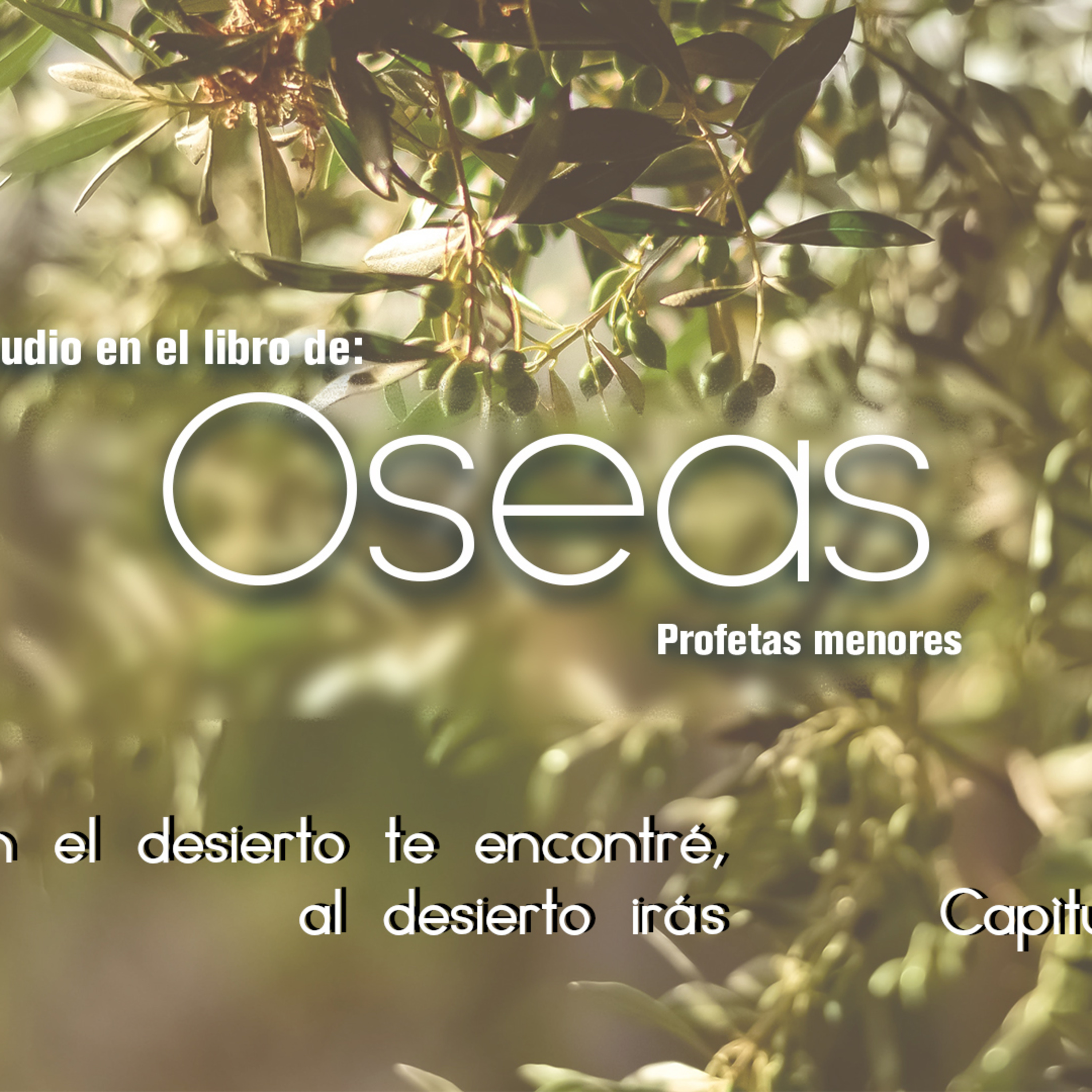 04 Oseas2019 | En el desierto te encontré al desierto irás episode artwork