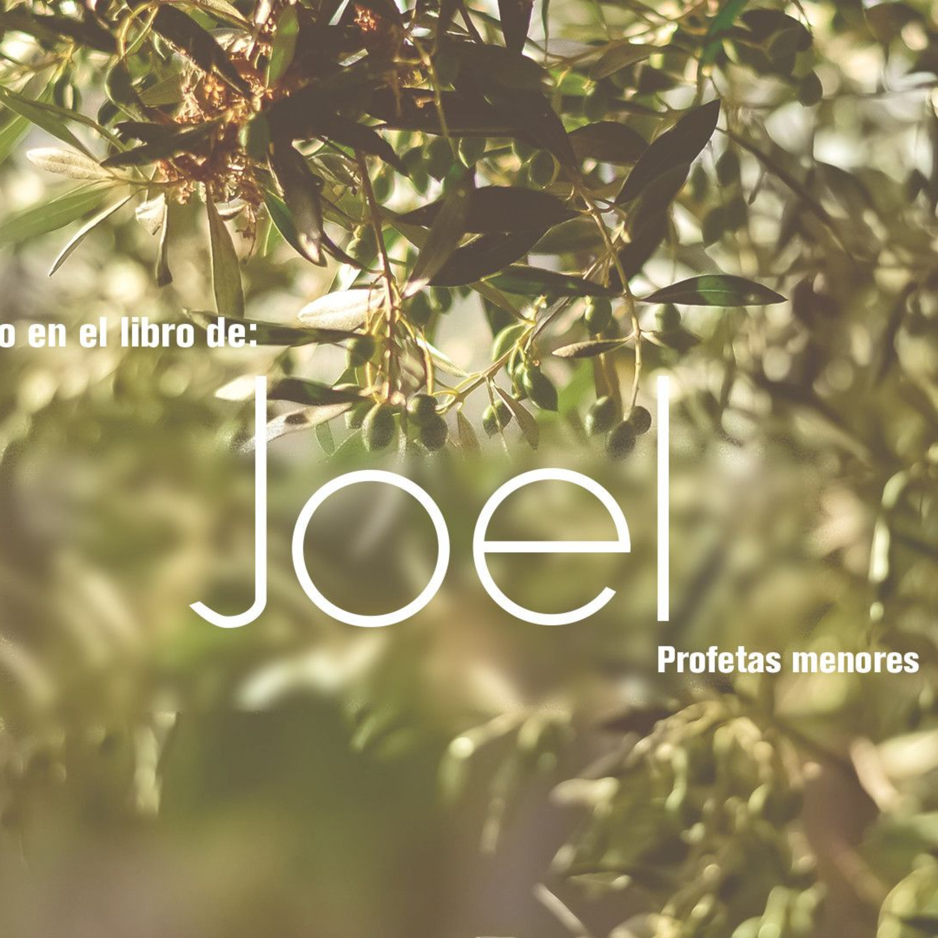 01 Joel2019 | Introducción episode artwork