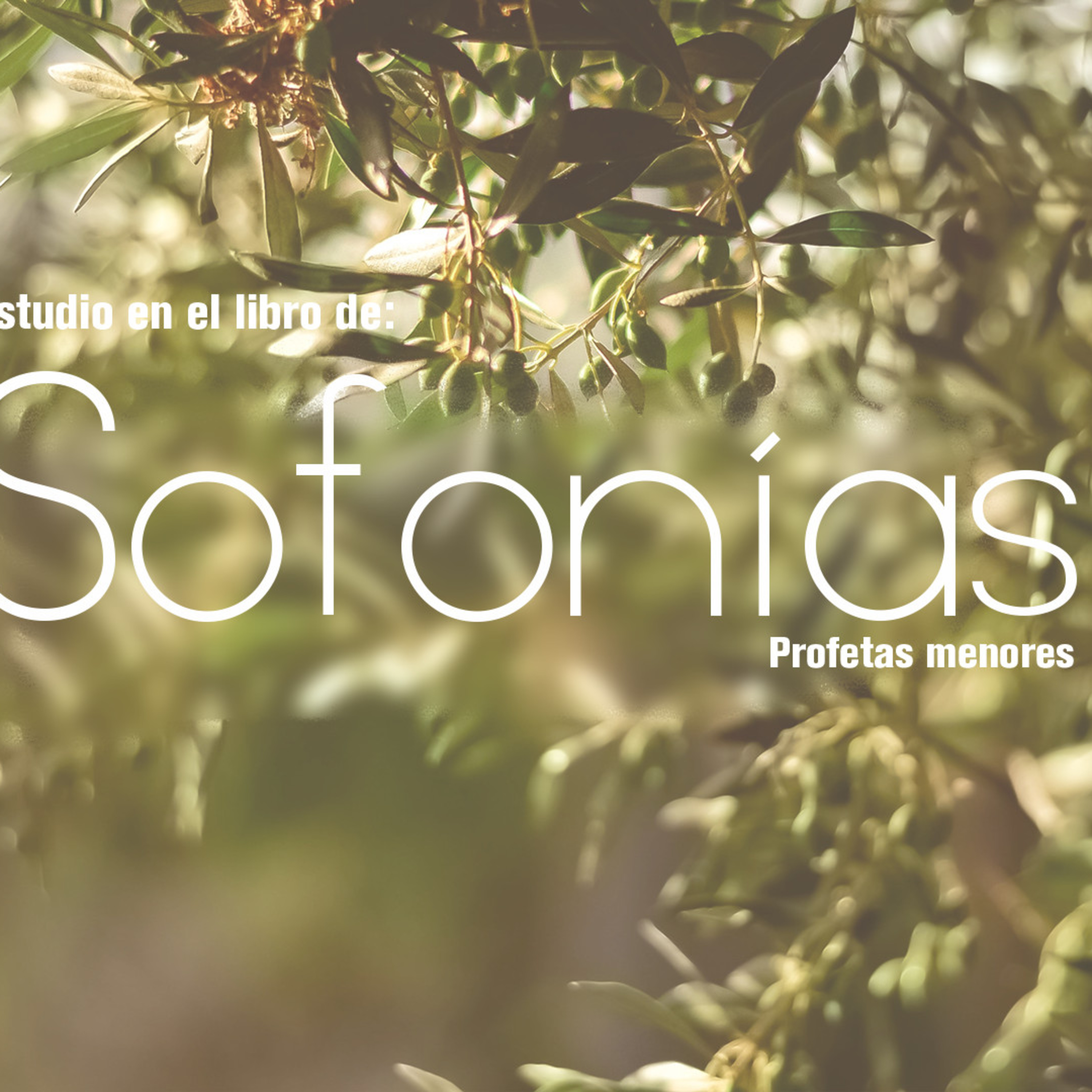 01 Sofonías2019 | Capítulo 1-3