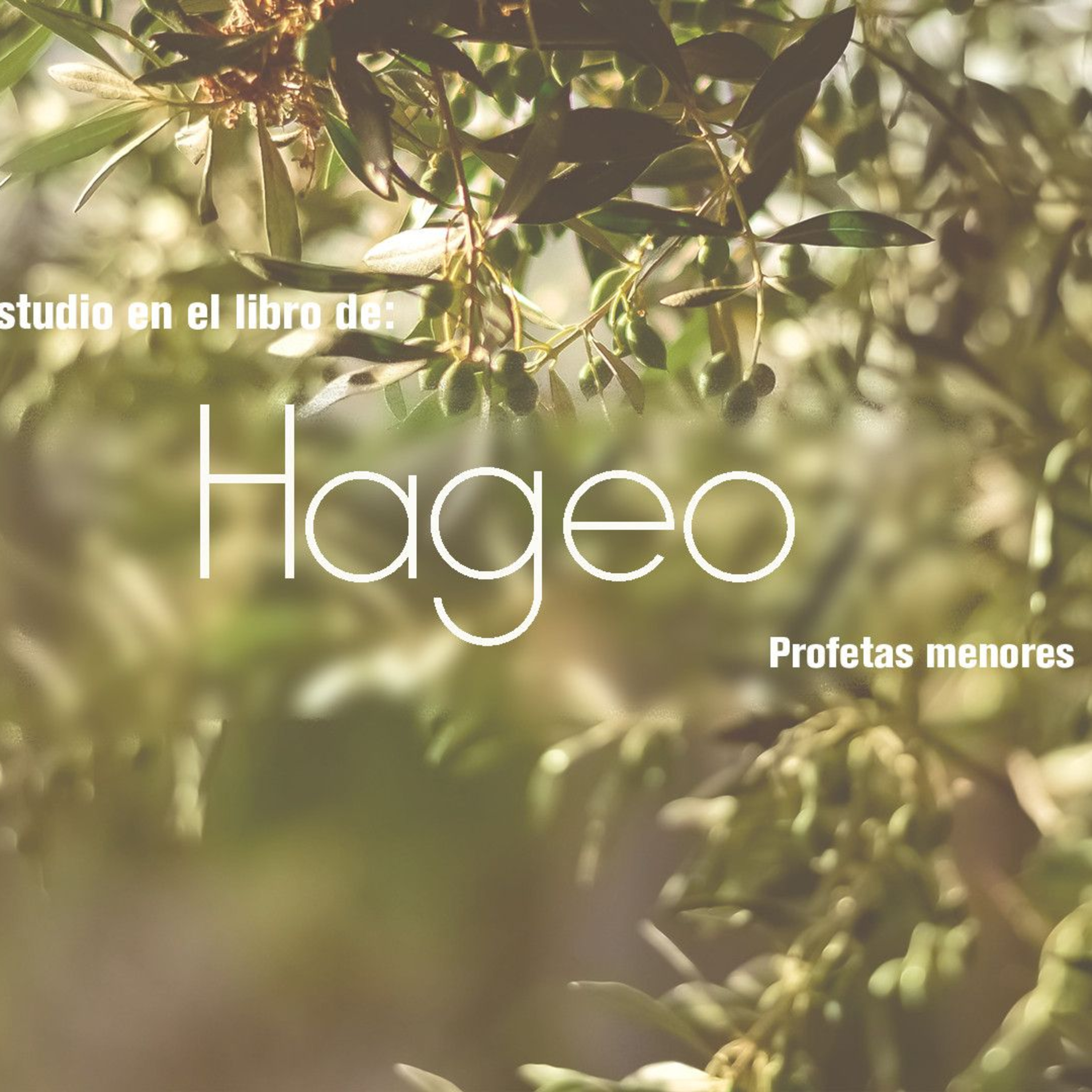 15 Efesios2019 | Como Perfume