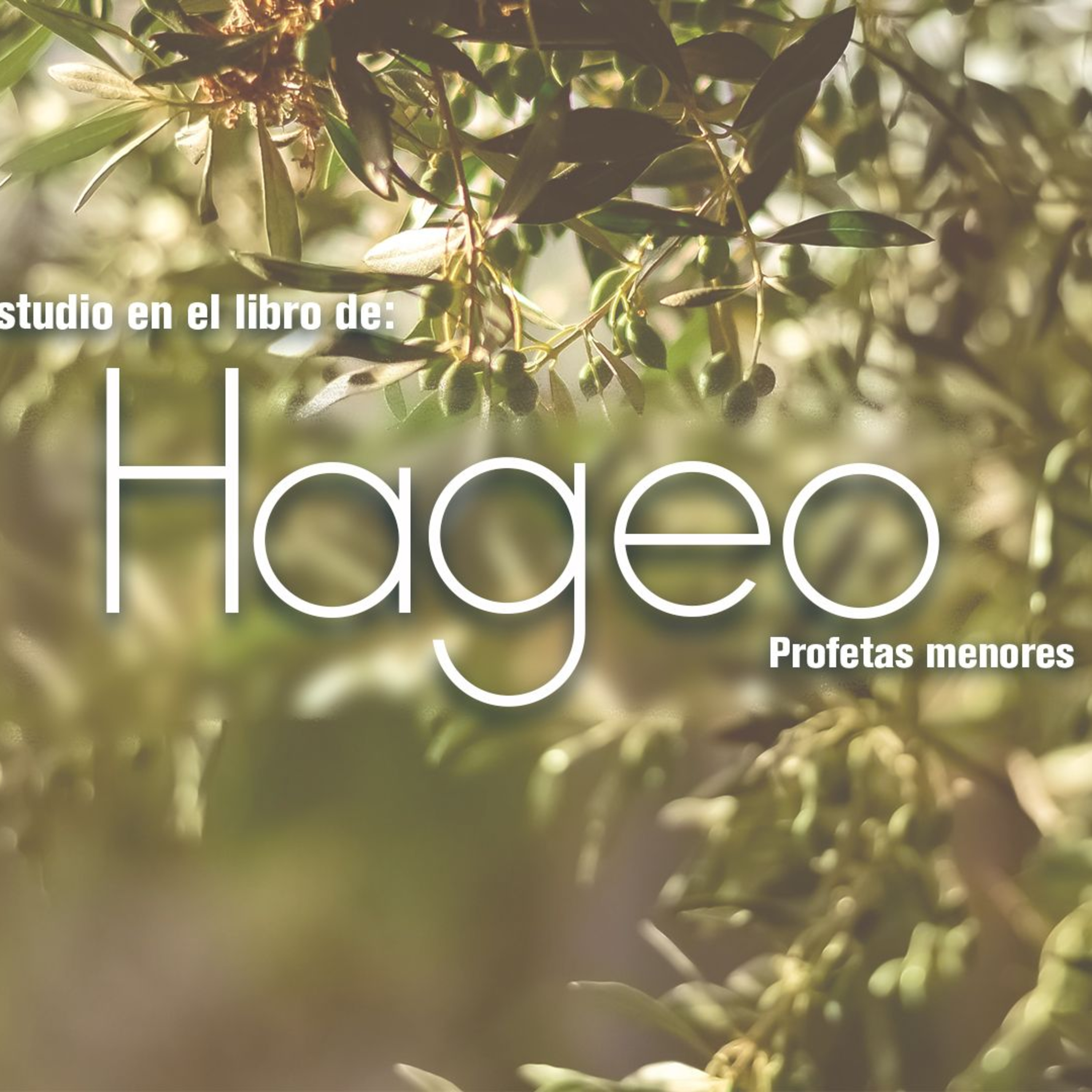 01 Hageo2019 | Capítulos 1 y 2