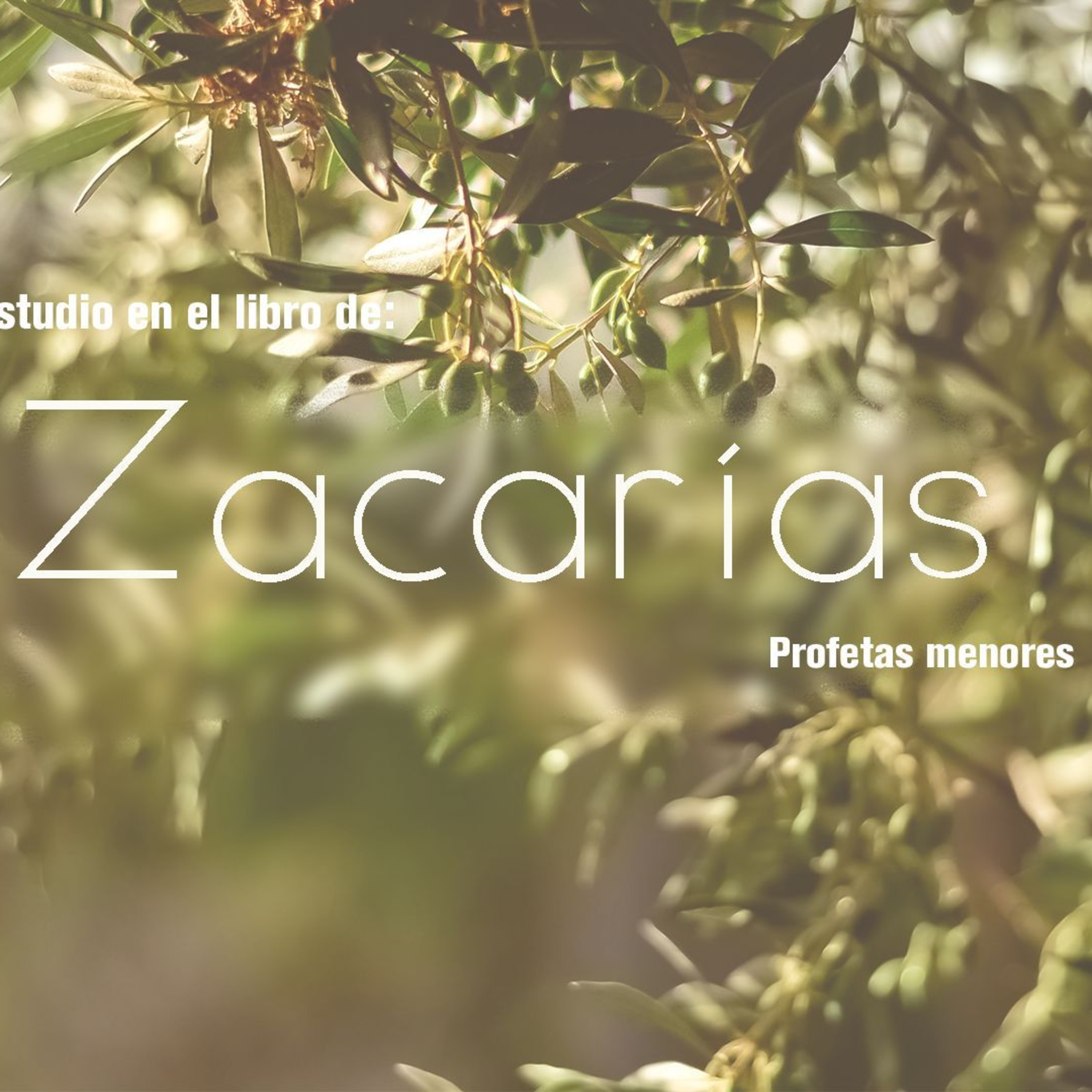semillacuerna