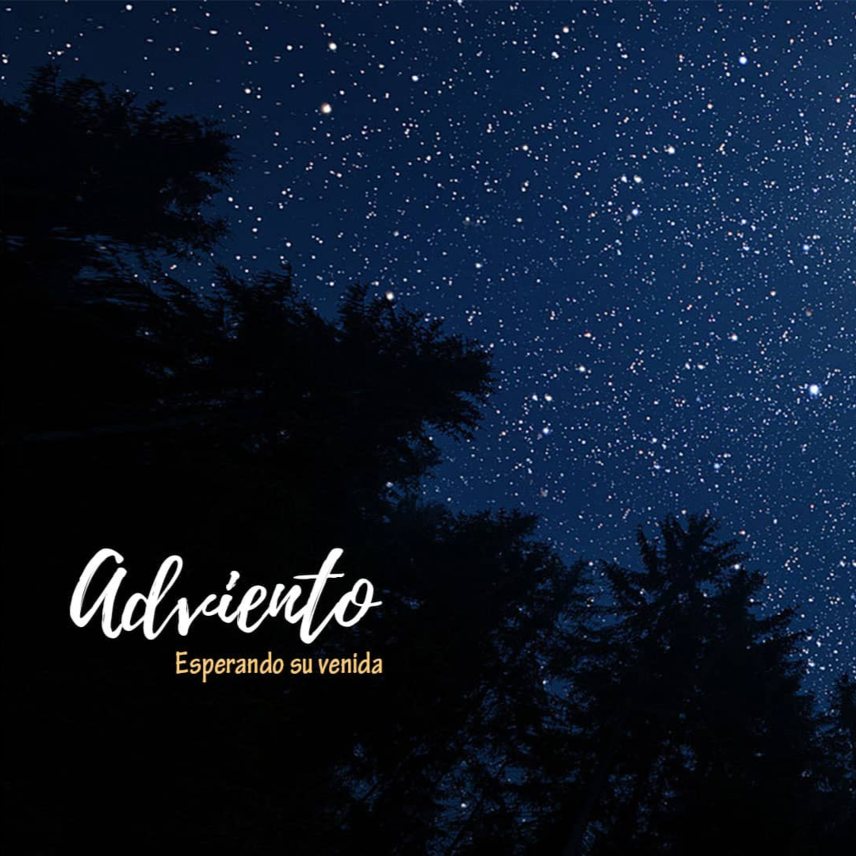 01 | Serie:Adviento | El Árbol de Vida episode artwork