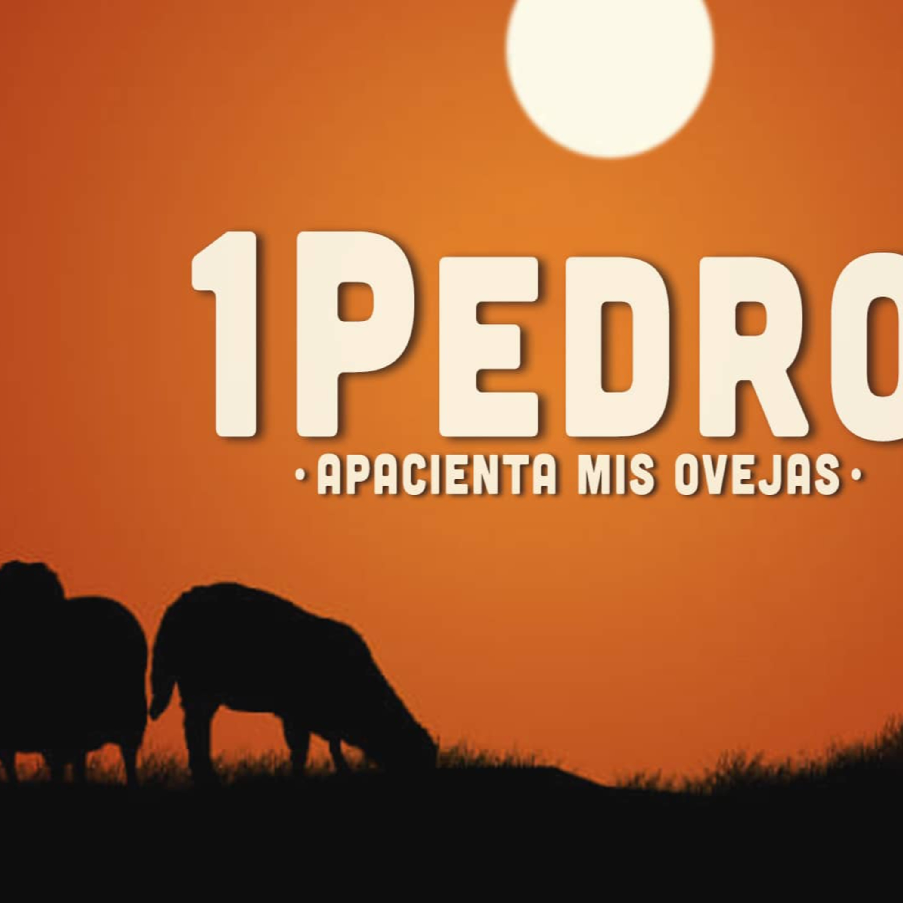02 | Serie:1 Pedro2023 | A los Expatriados episode artwork