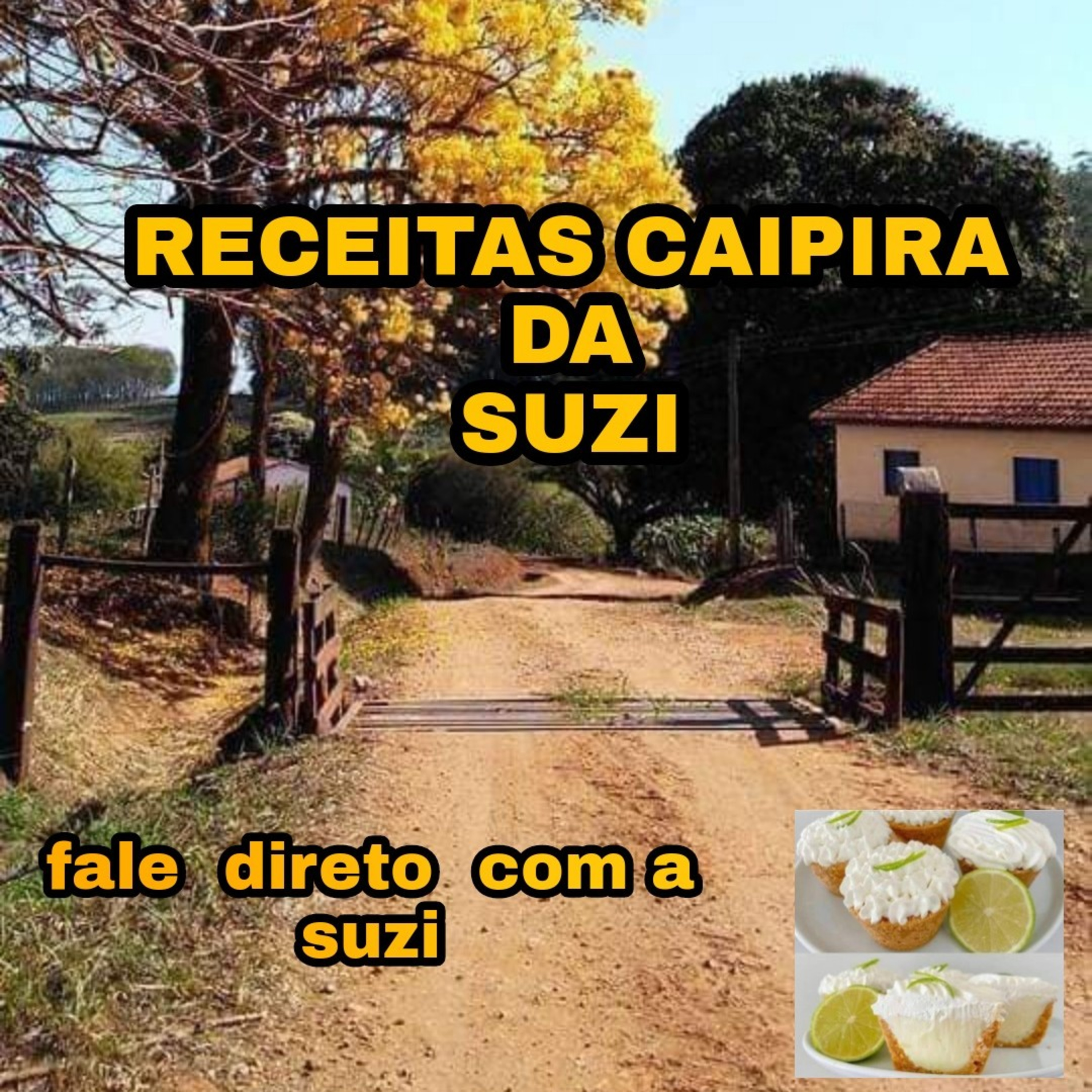 RECEITAS CAIPIRA DA SUZI