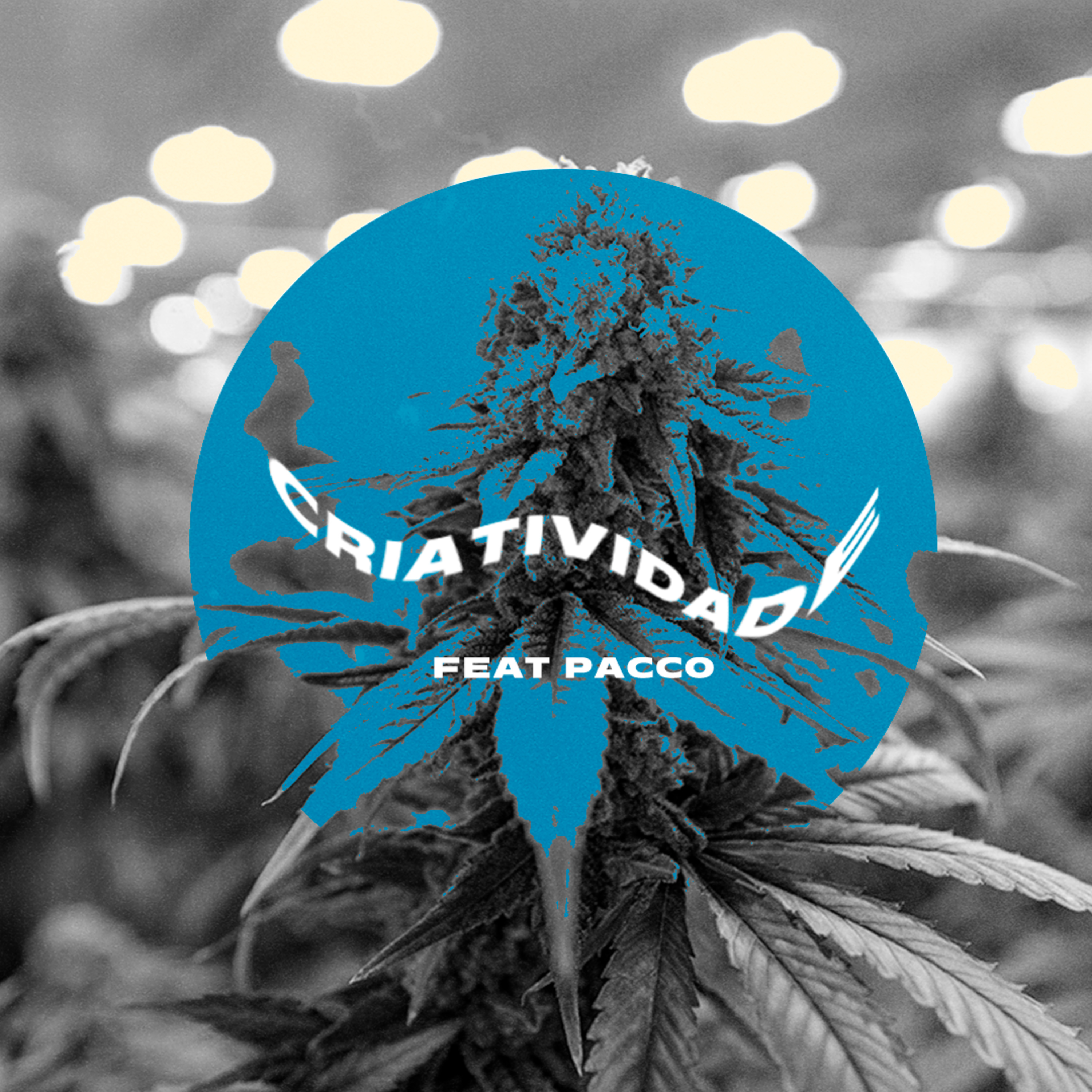 Criatividade e Composição Feat. Pacco