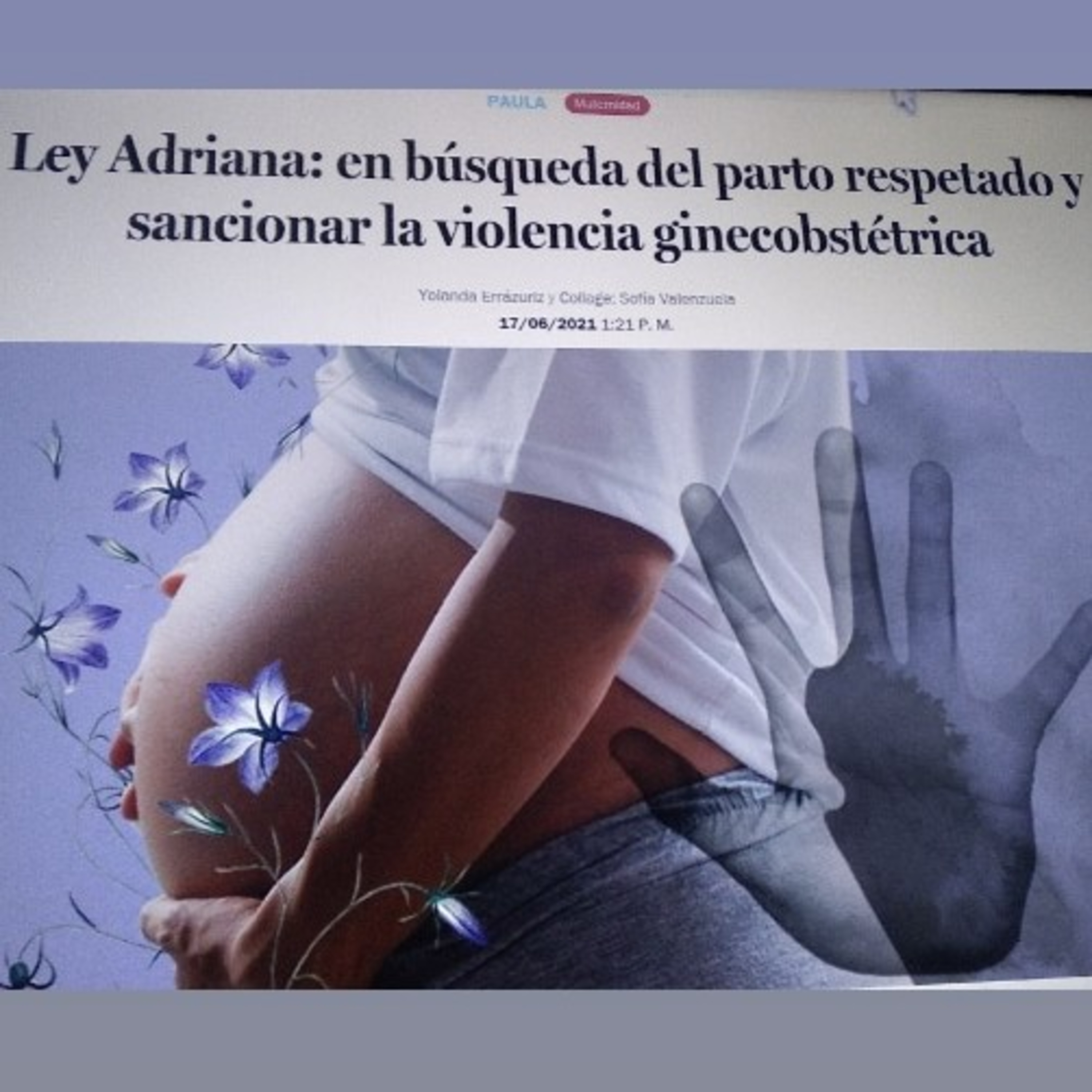 Ley Adriana