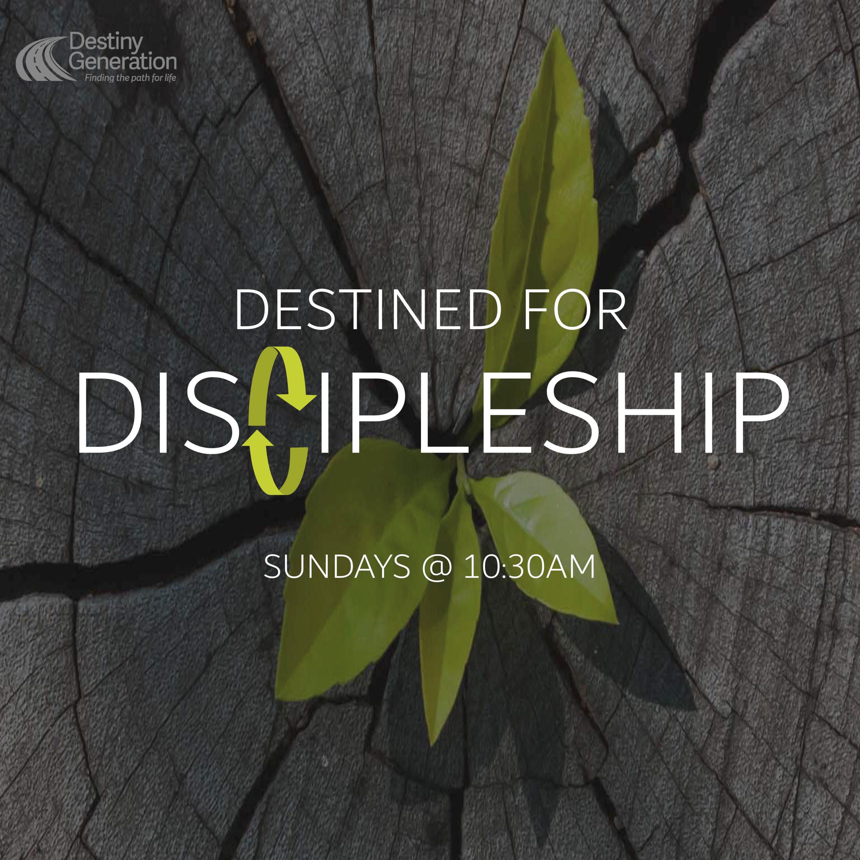 Five Discipleship Principles episode artwork