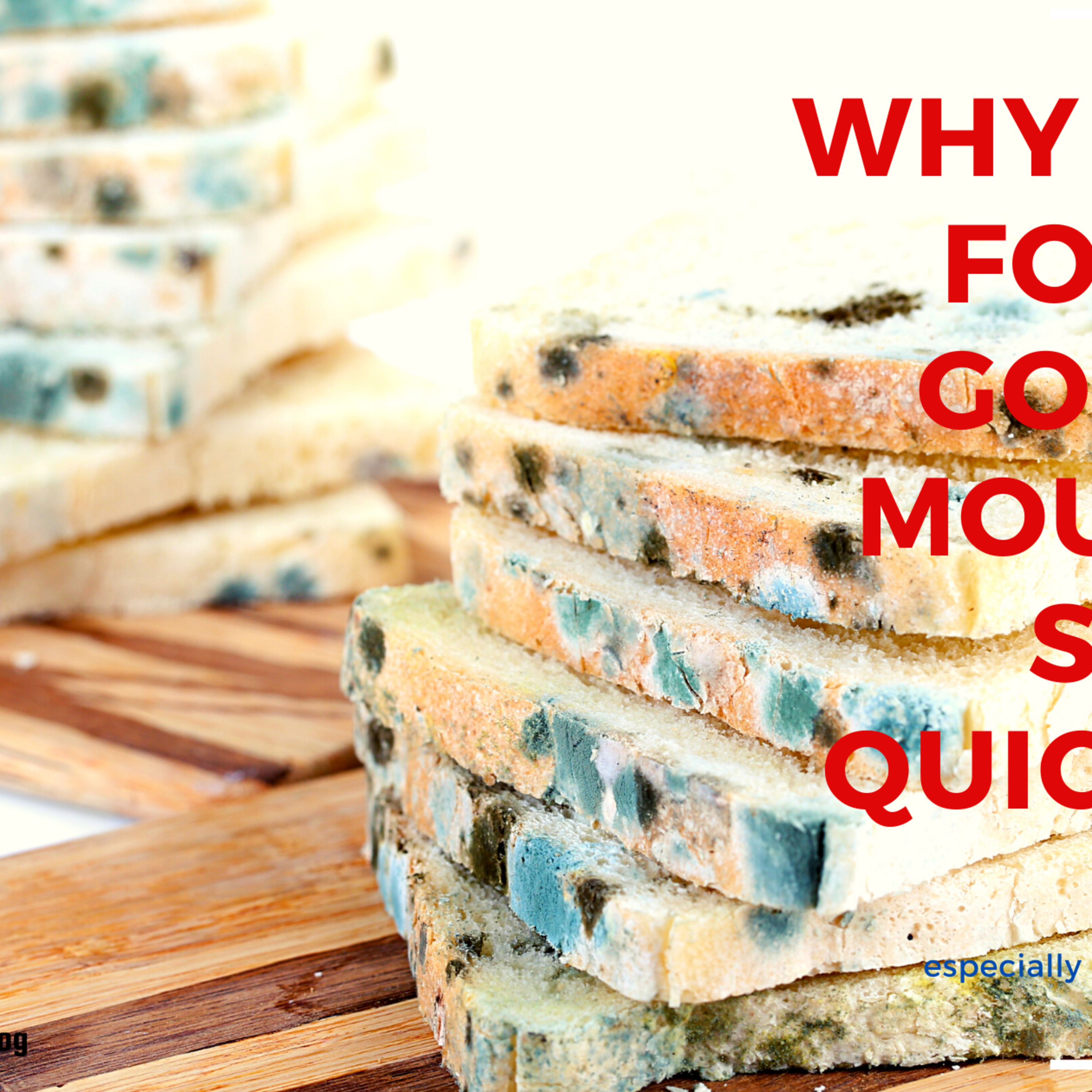 Insights from Diane Shawe\'s Podcast.