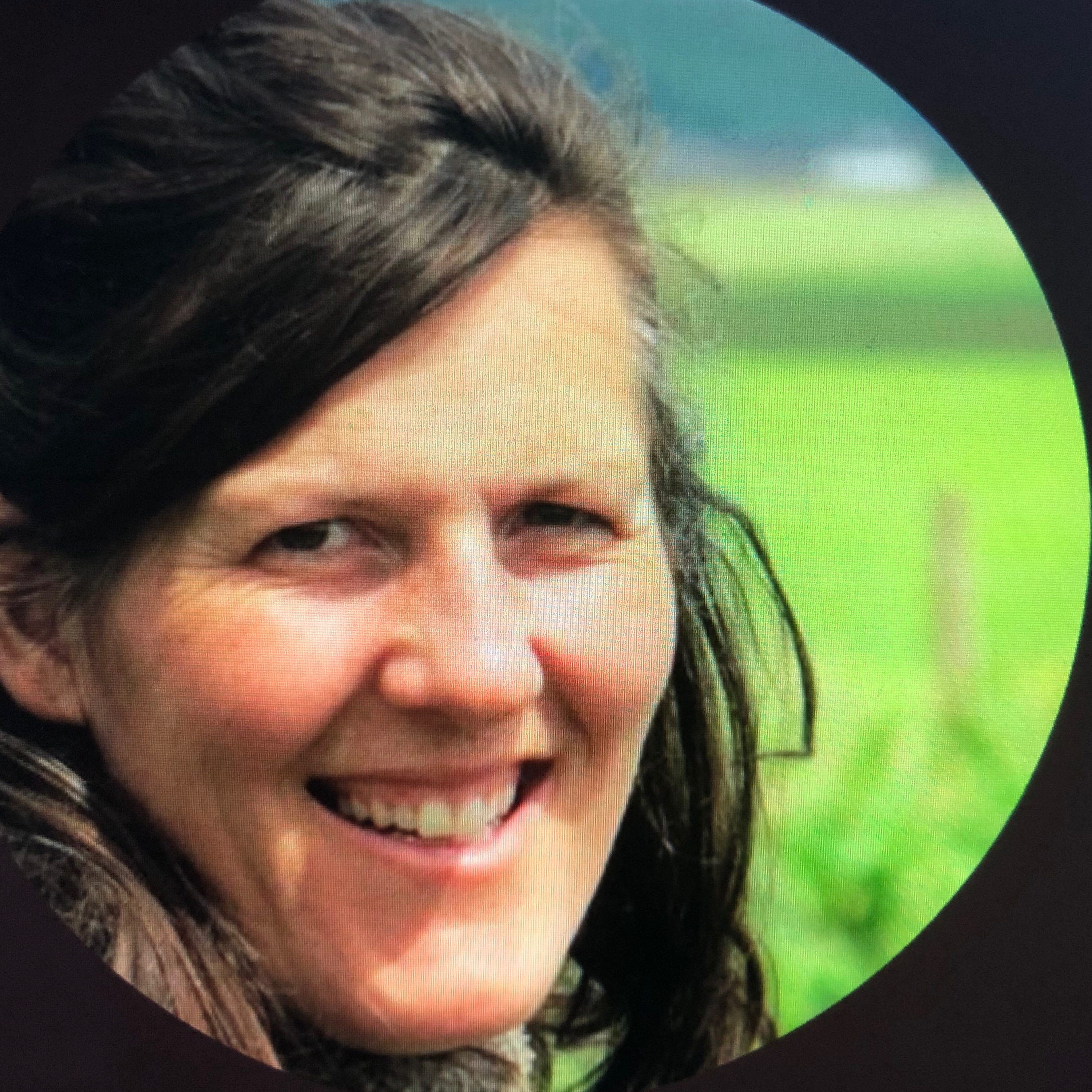 Higher Education, Human Employment