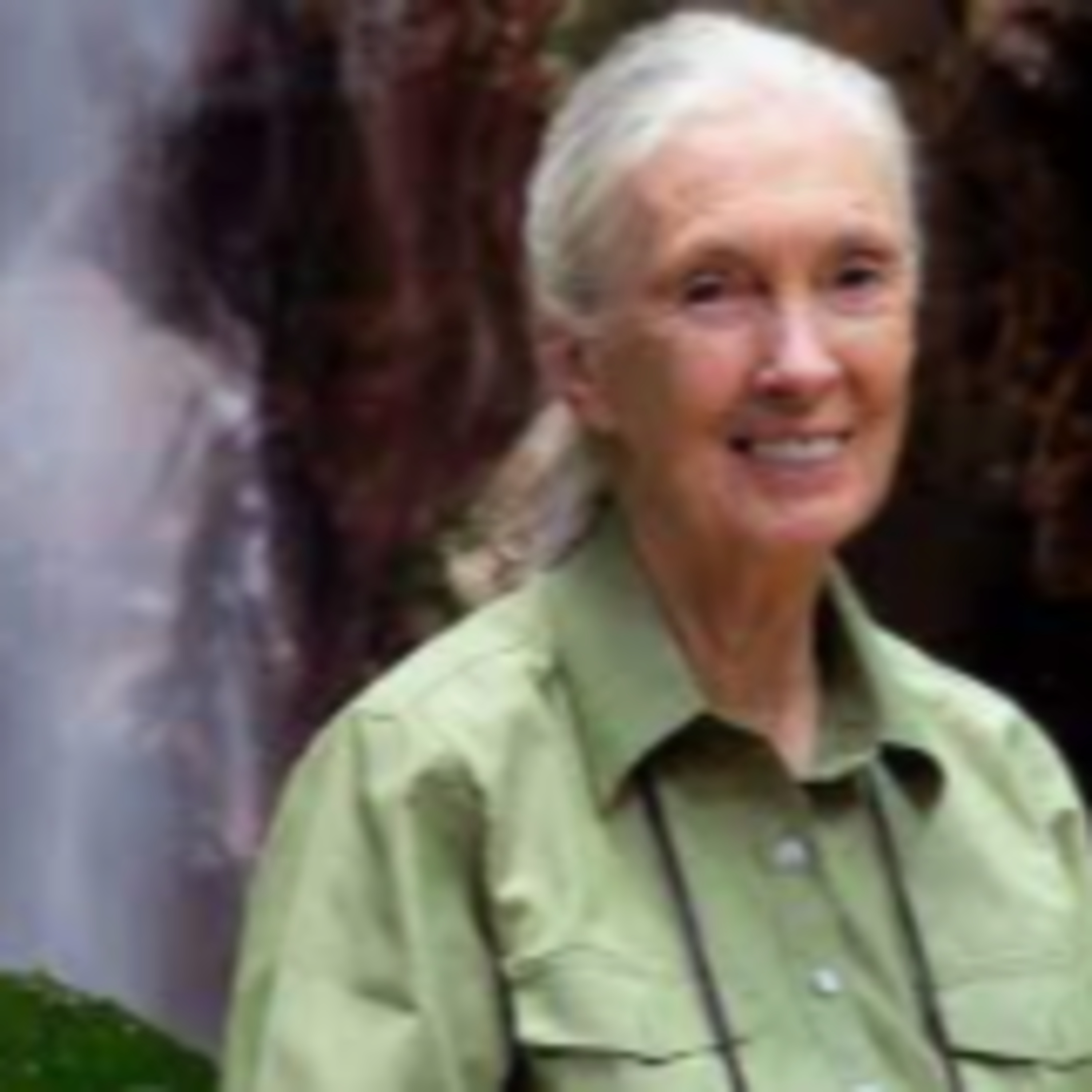 Jane Goodall: Georgia Kiley episode artwork