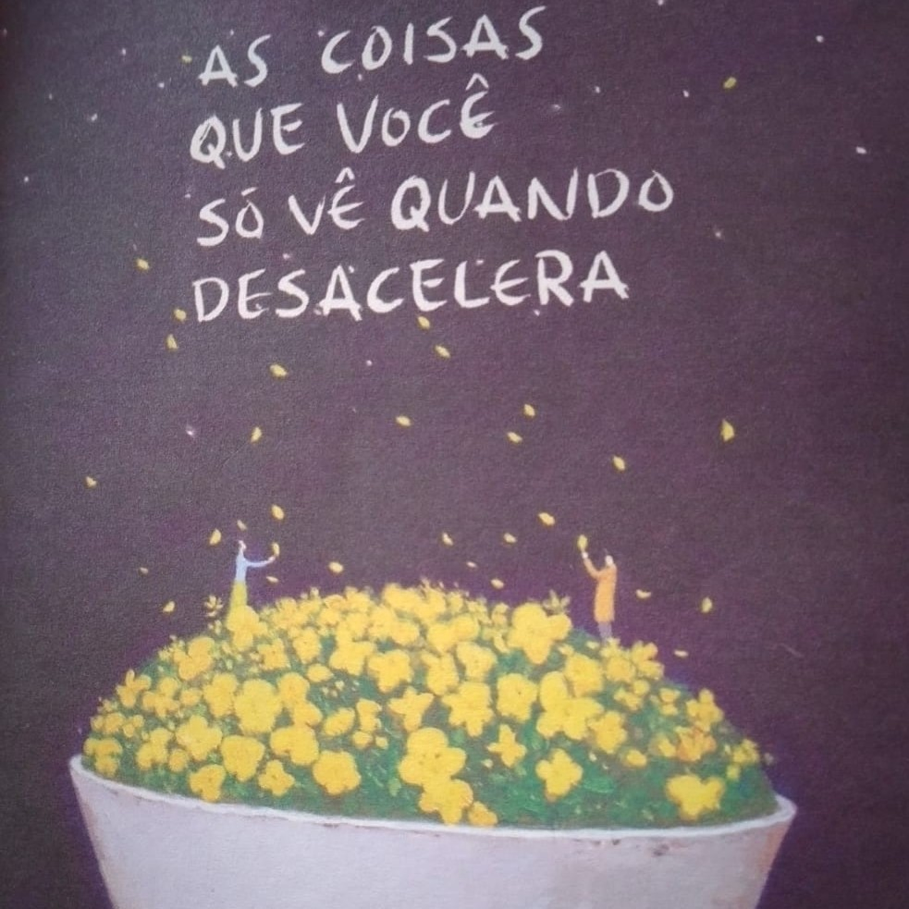 Obra: "As coisas que você só vê quando desacelera" . Cap.01