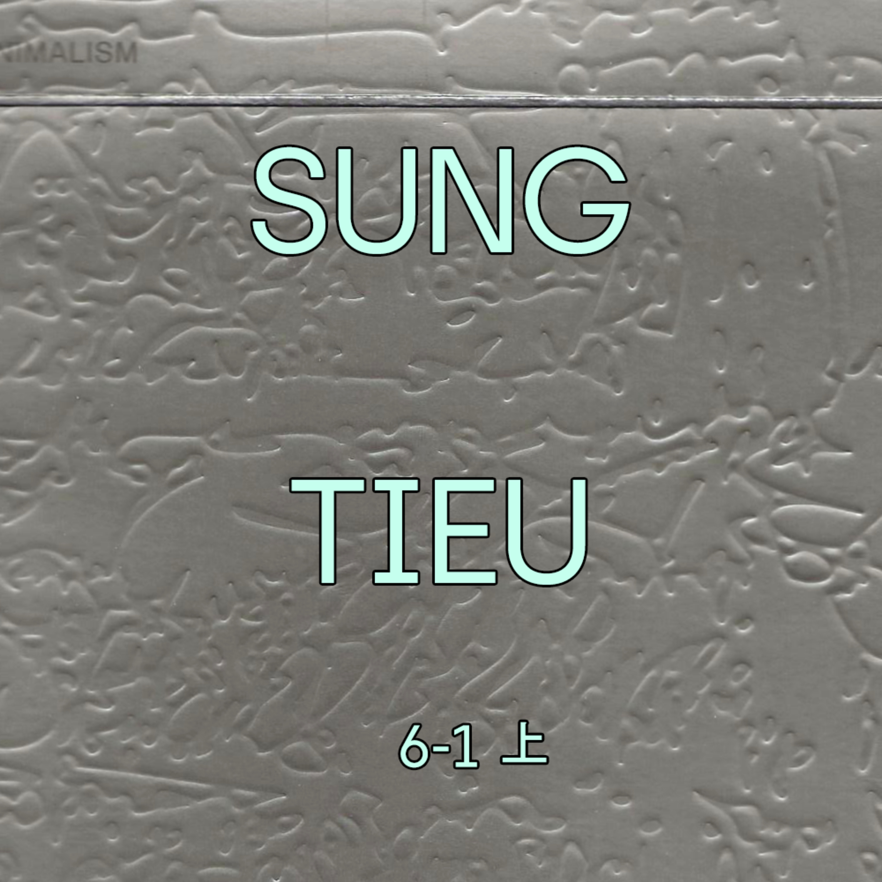 6-1 上 : Sung Tieu episode artwork