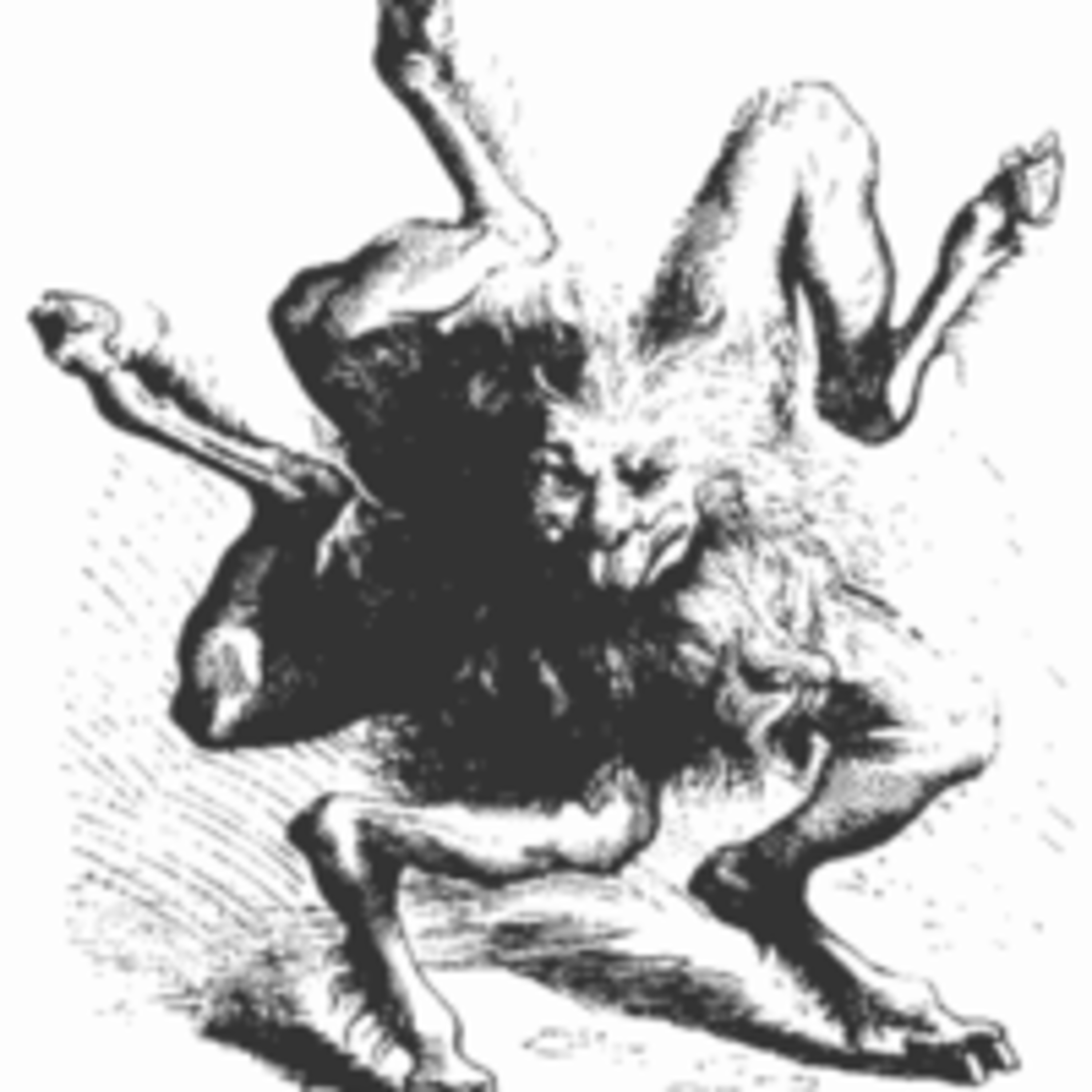 El rincón de León