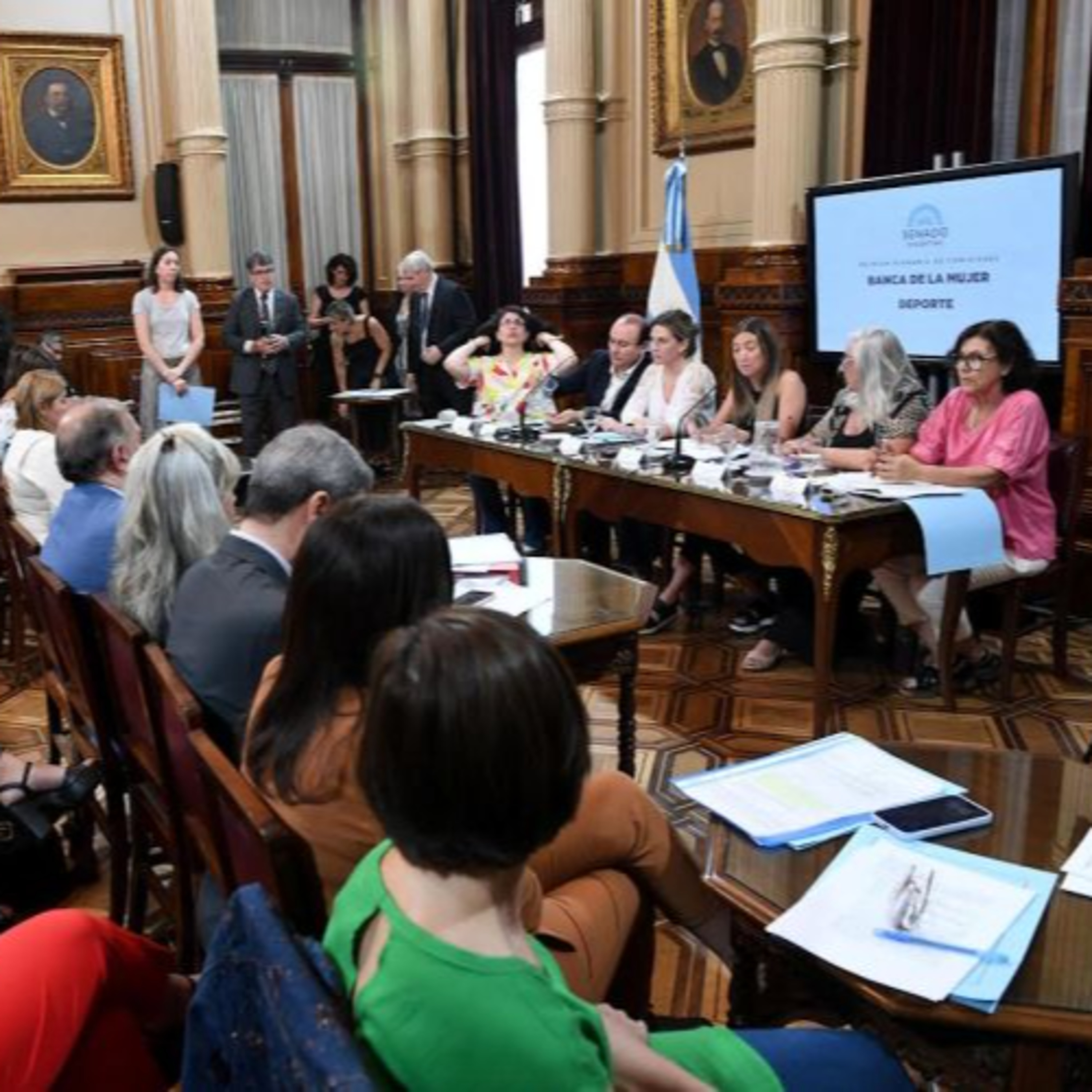 Informe sobre el Proyecto de Ley de igualdad y paridad de género en el deporte @pasadasporalto por @fmlatribu