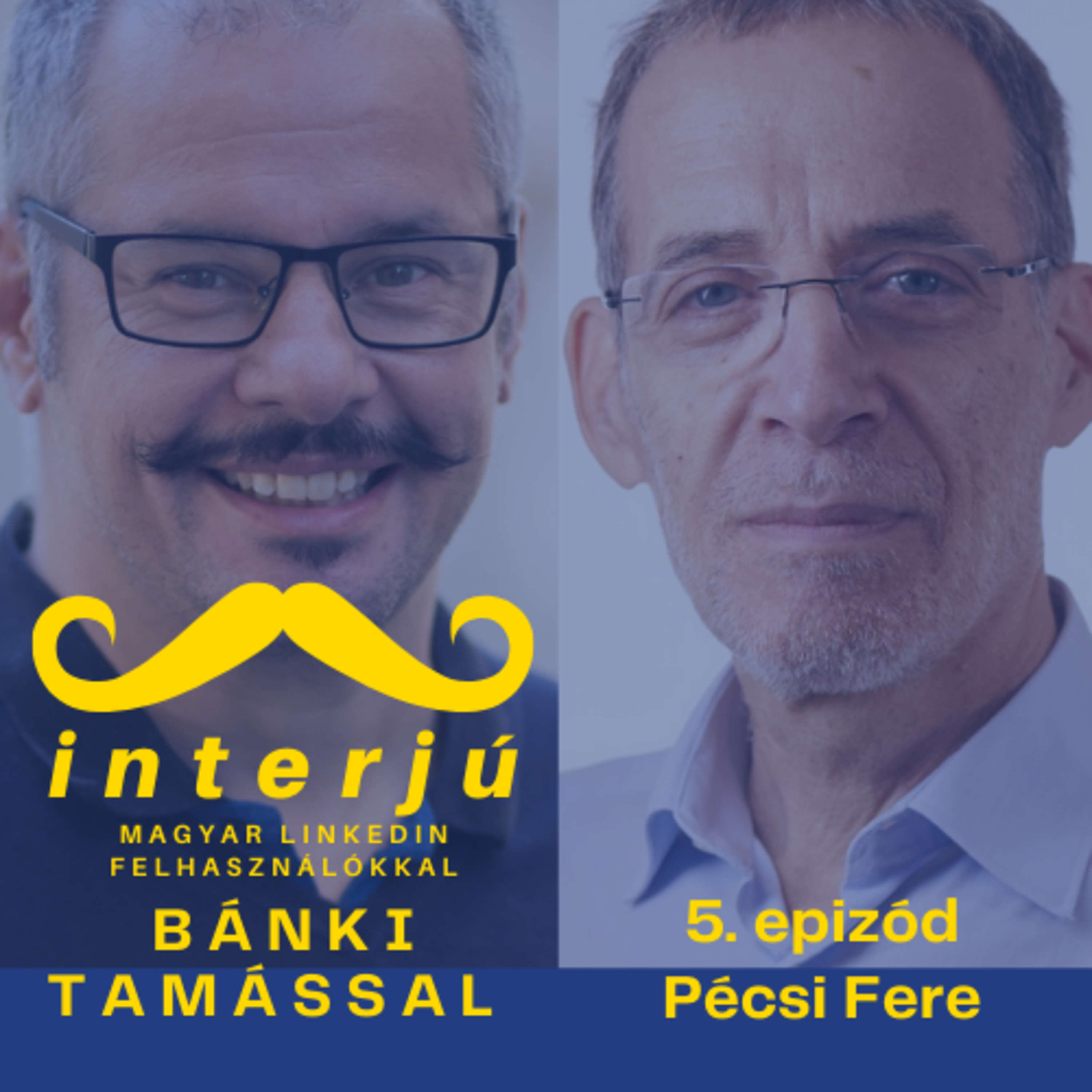 Interjú, podcast a 🇭🇺 magyar a Linkedin felhasználókkal