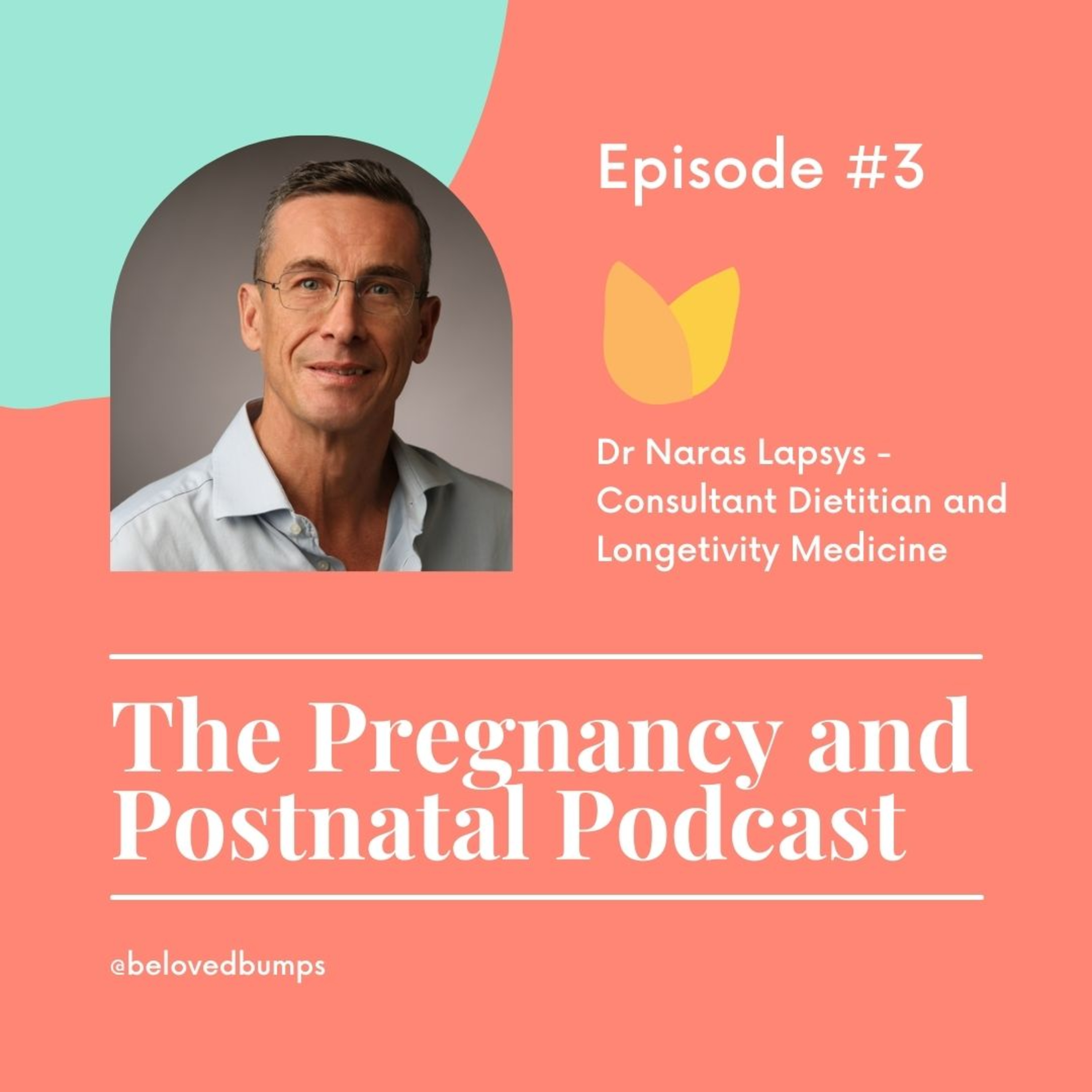 The Pregnancy and Postnatal Podcast