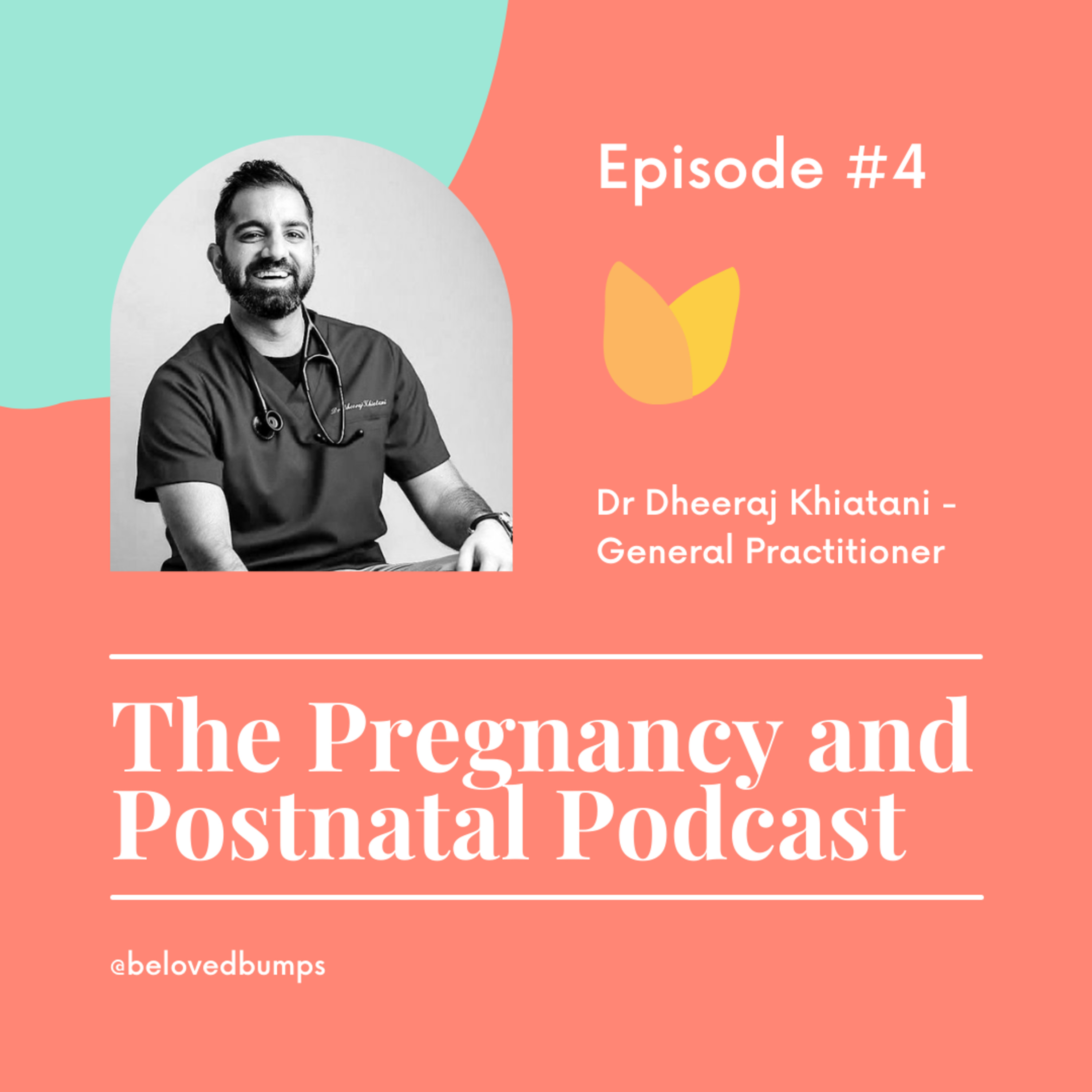 The Pregnancy and Postnatal Podcast