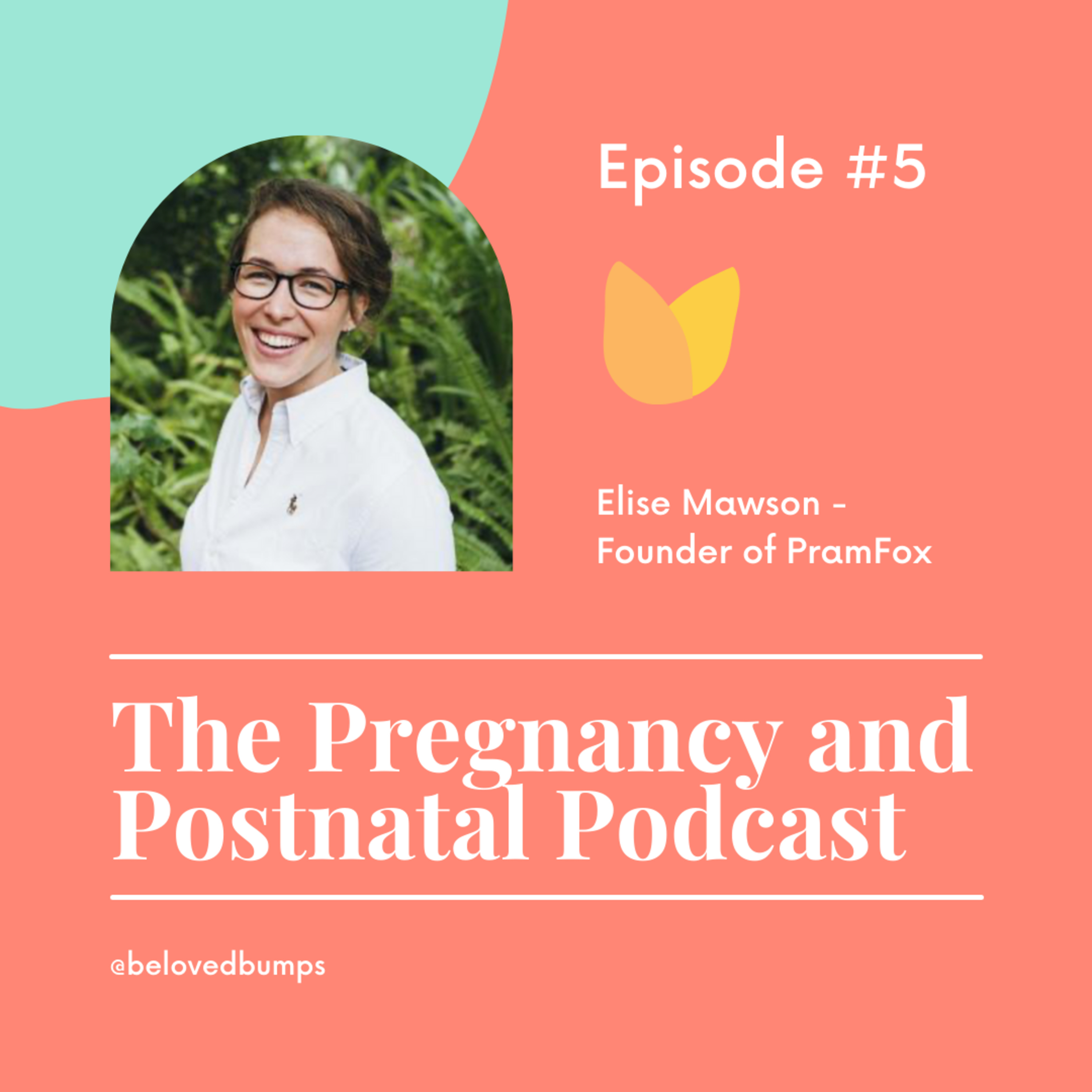 The Pregnancy and Postnatal Podcast