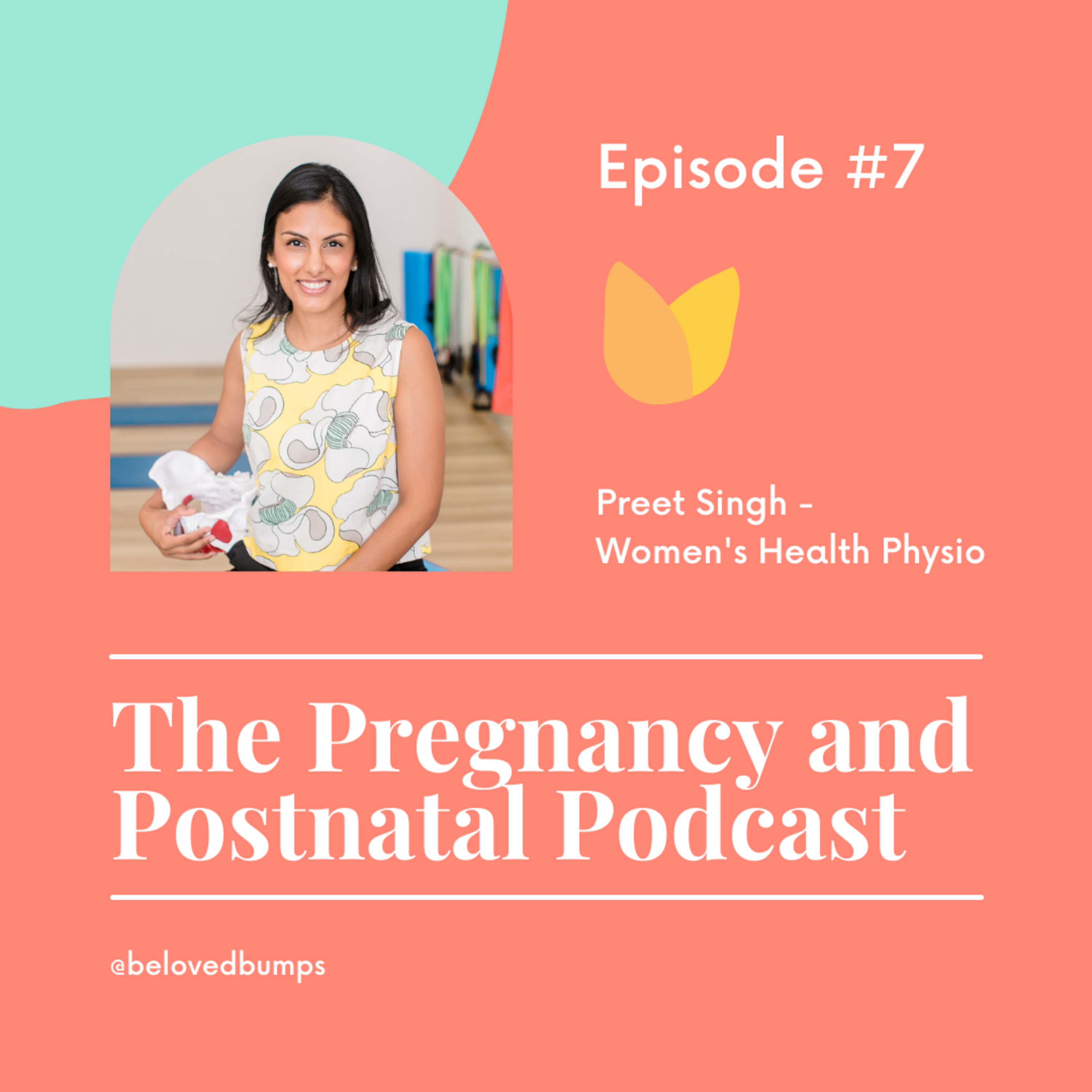 The Pregnancy and Postnatal Podcast