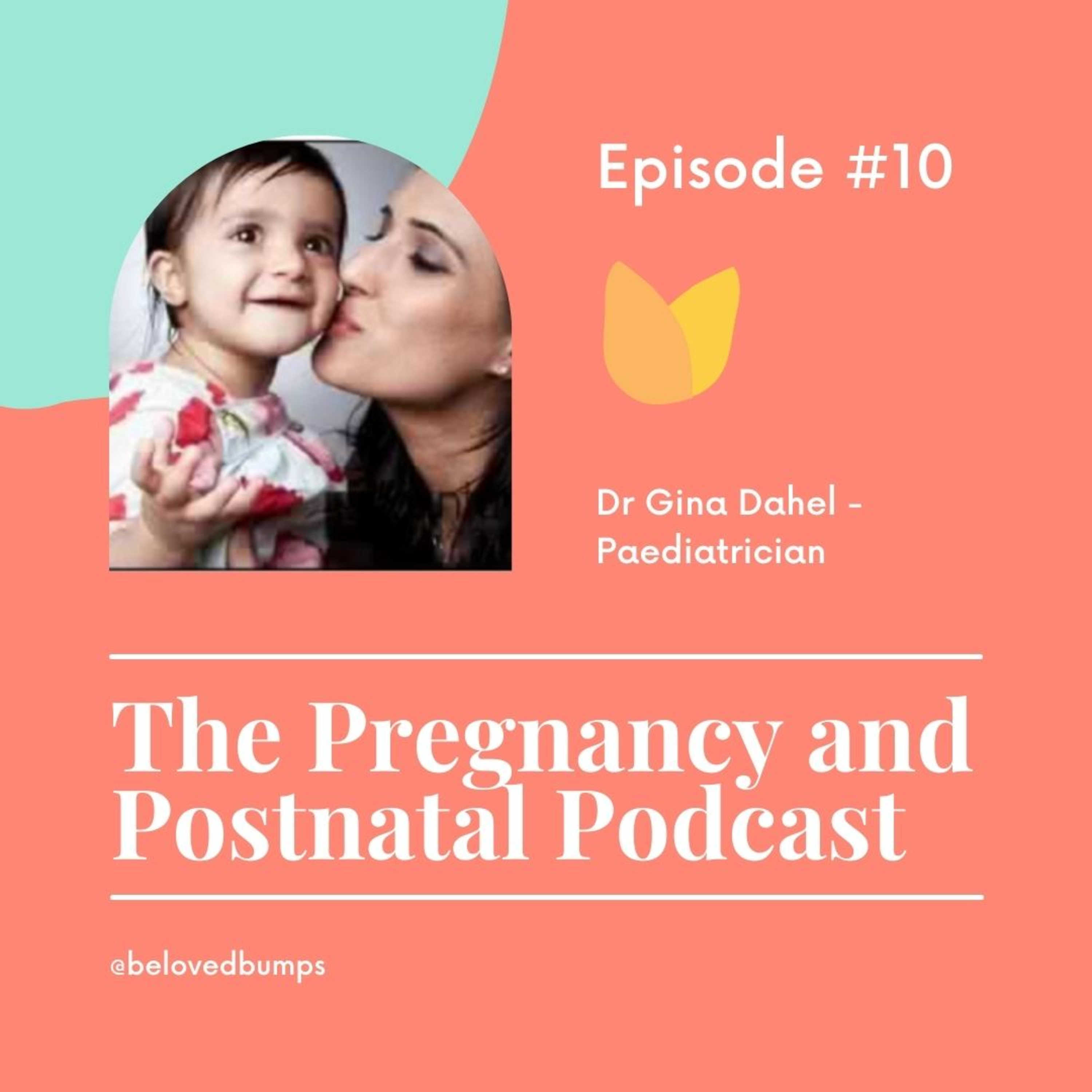 The Pregnancy and Postnatal Podcast