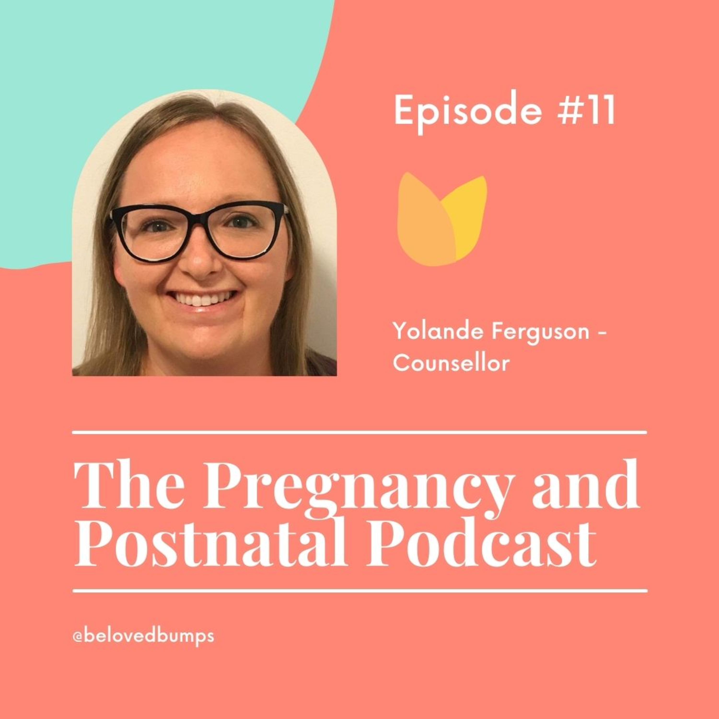 The Pregnancy and Postnatal Podcast