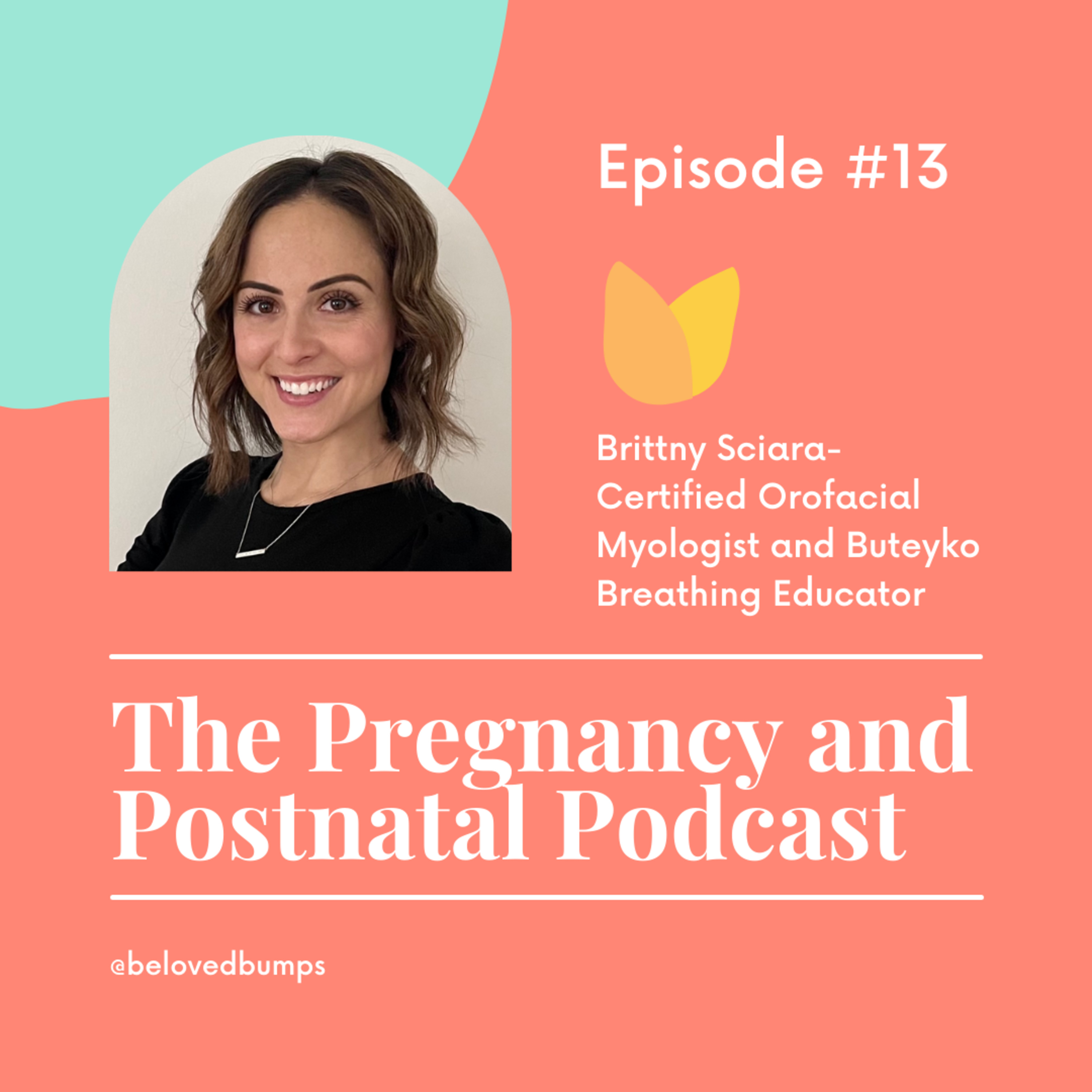 The Pregnancy and Postnatal Podcast
