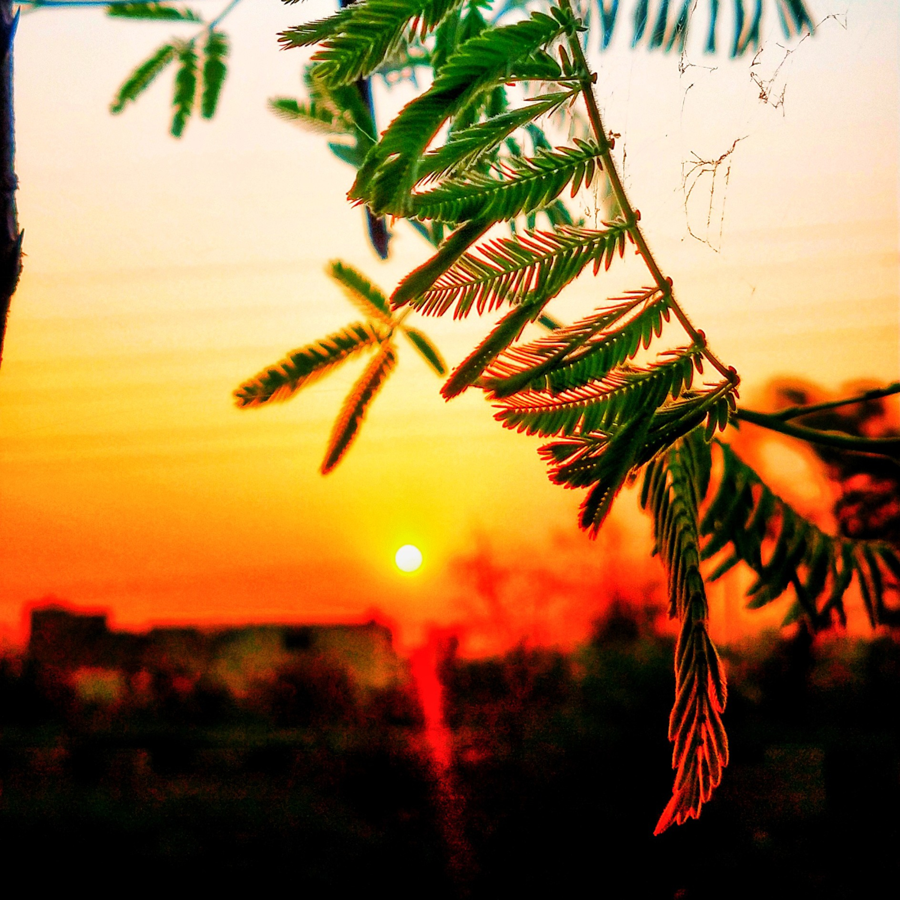 GEET (Poetry) by Dinesh Kumar thumbnail