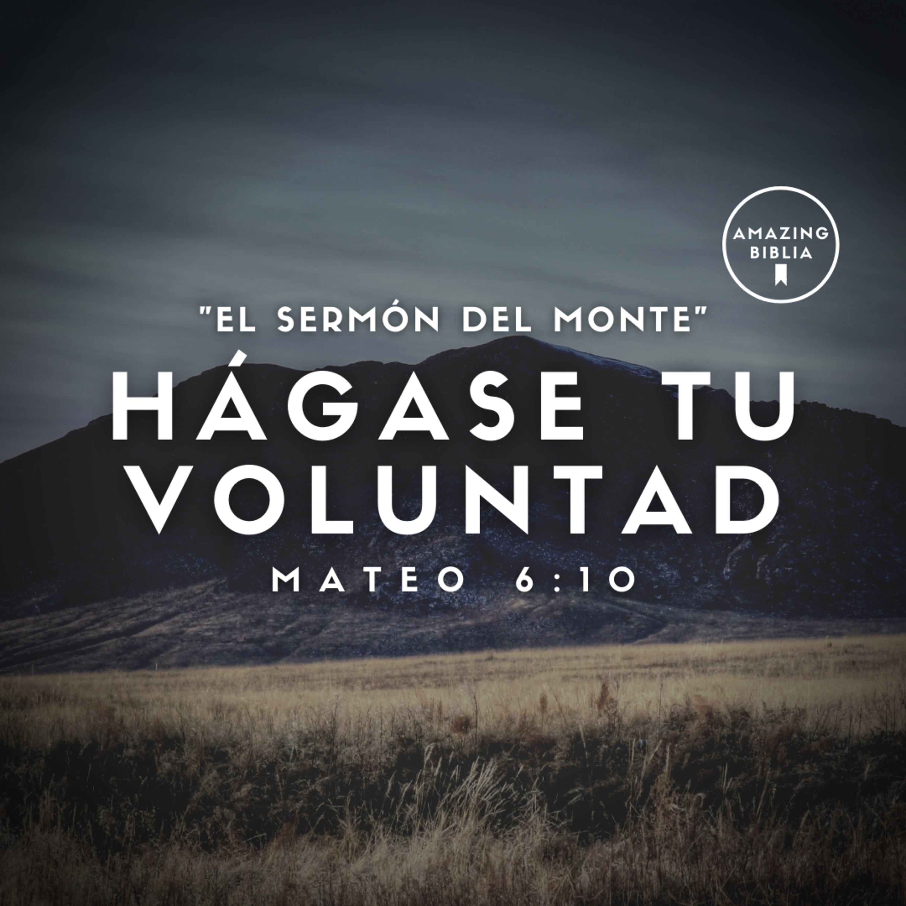 Amazing Biblia