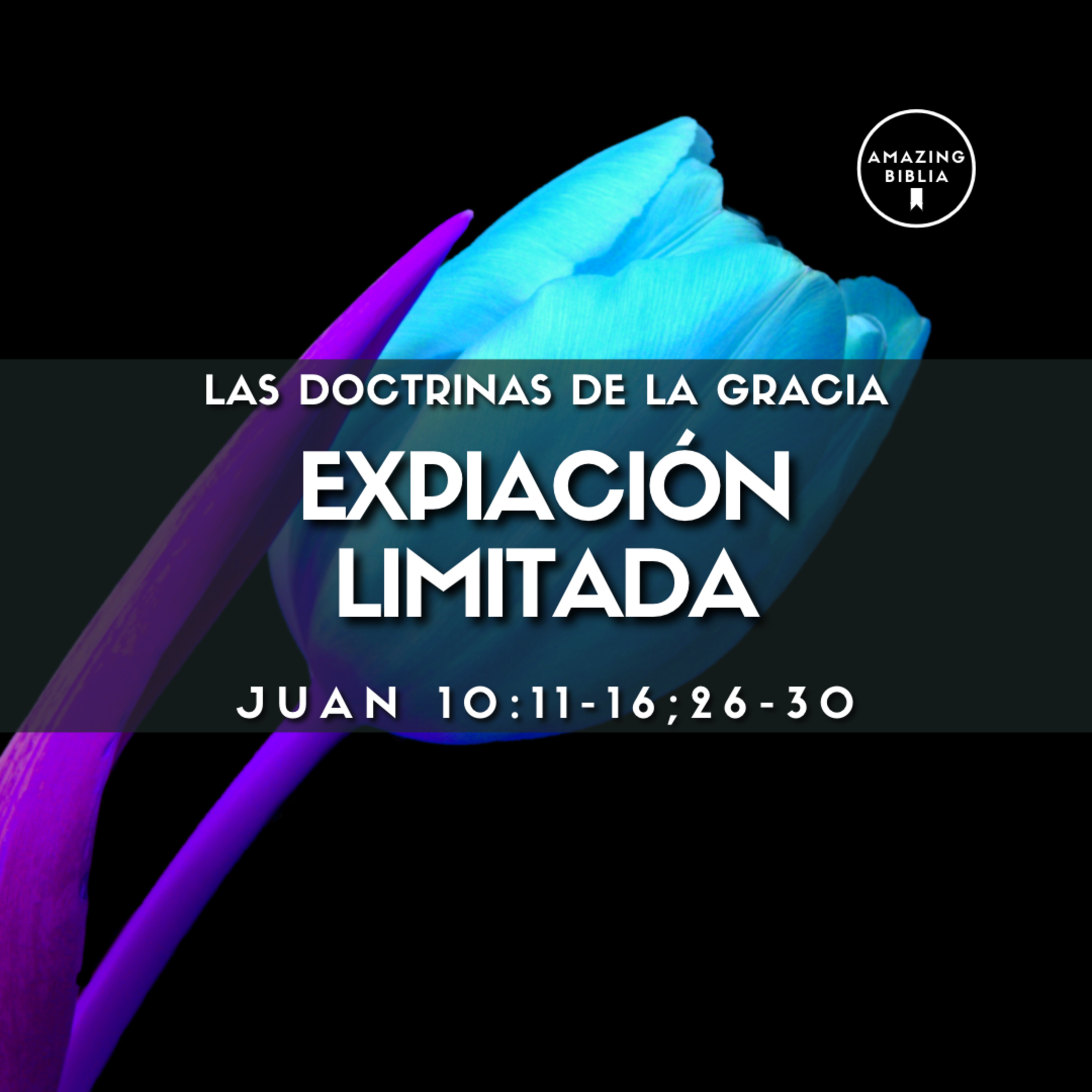 Amazing Biblia