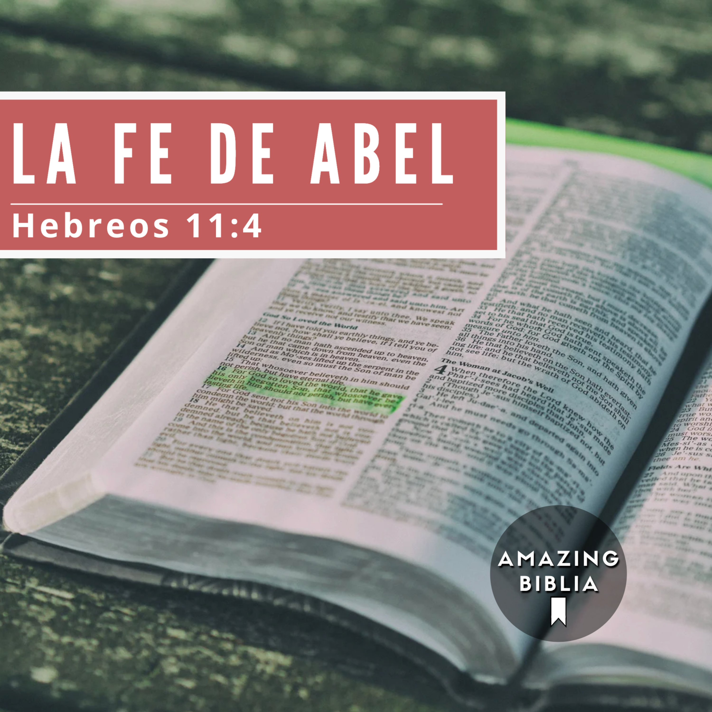 Amazing Biblia
