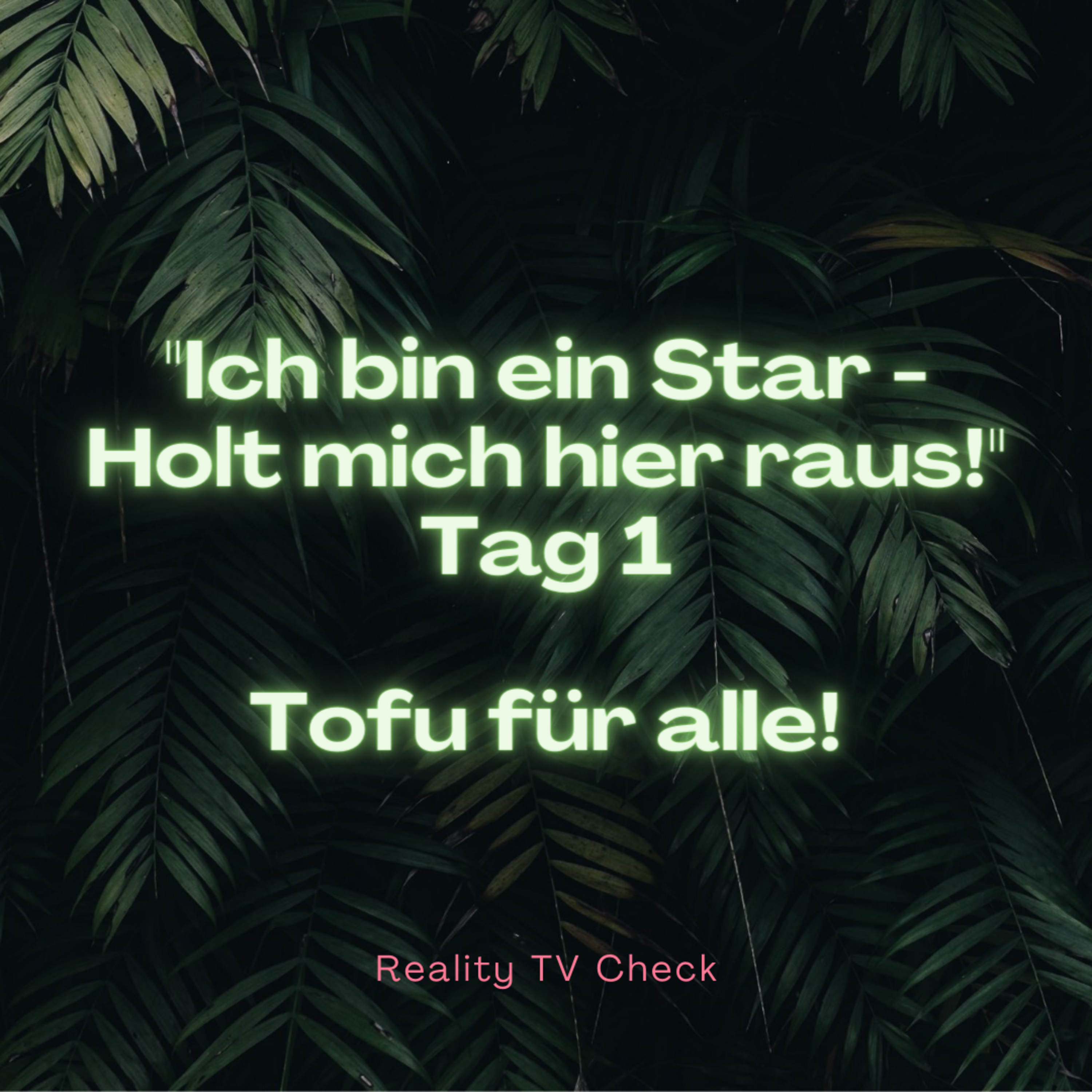 Reality TV Check