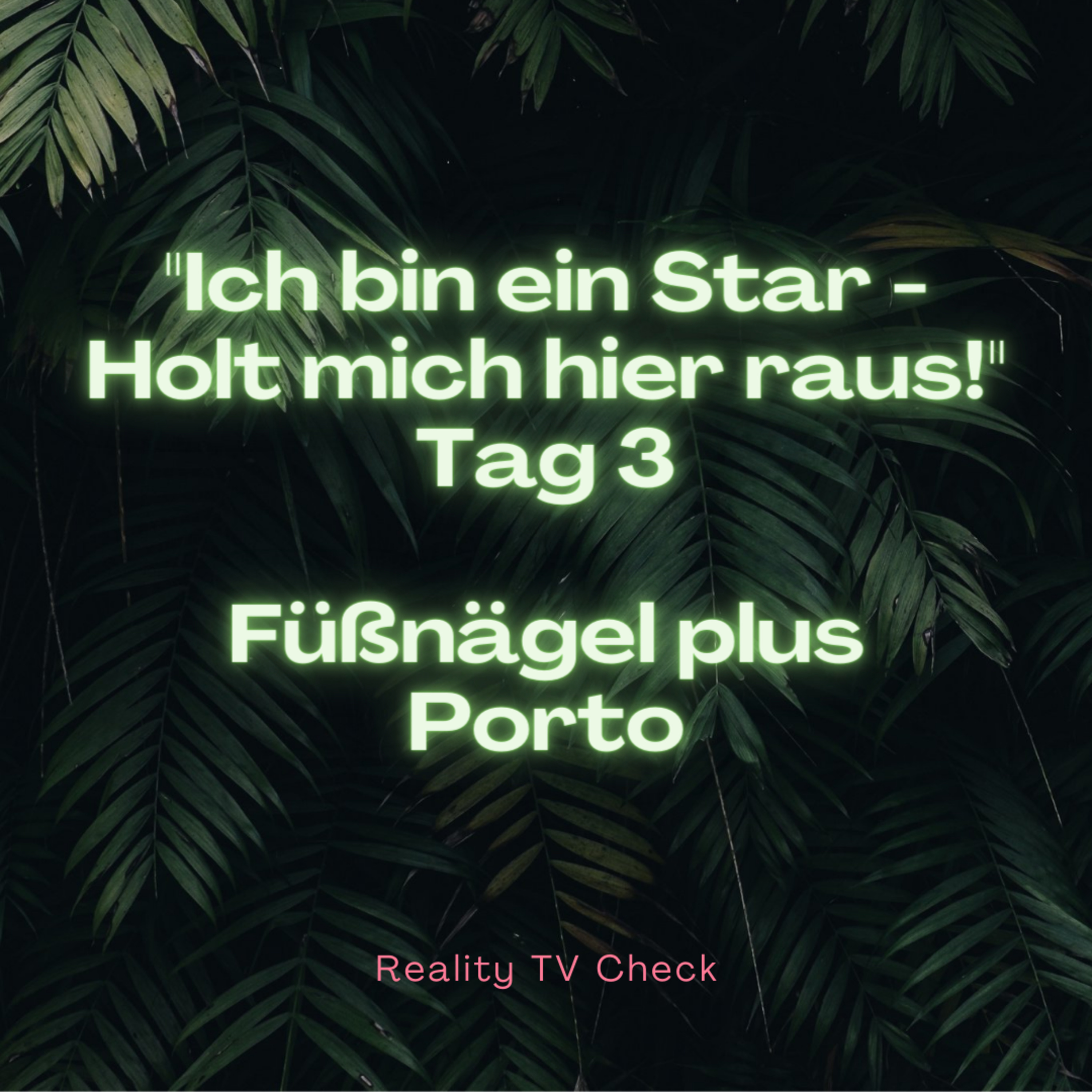 Reality TV Check